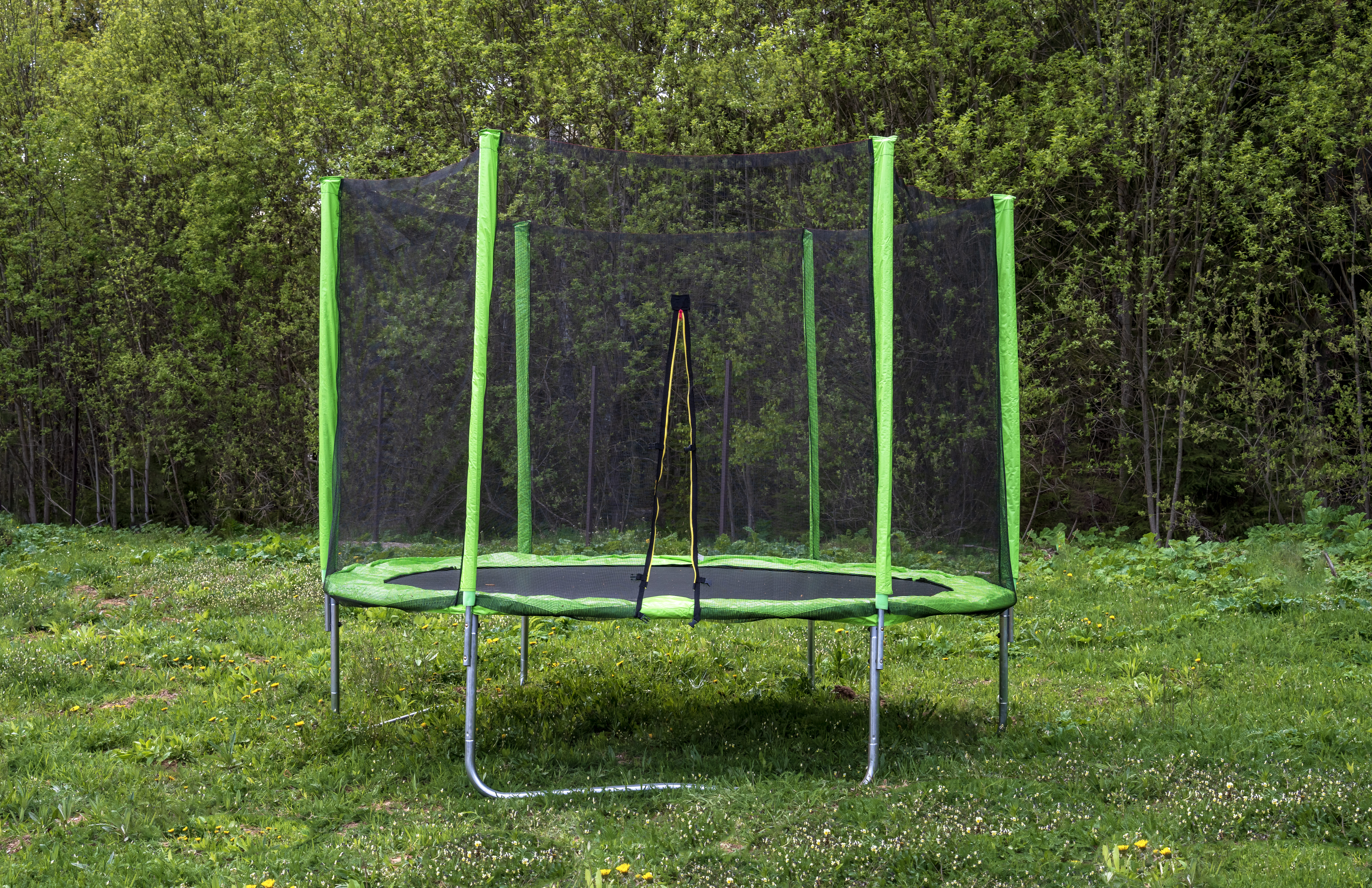 Фото Рузские Лужки