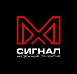 Сигнал (Chechen Republic, selo Vedeno), gas station