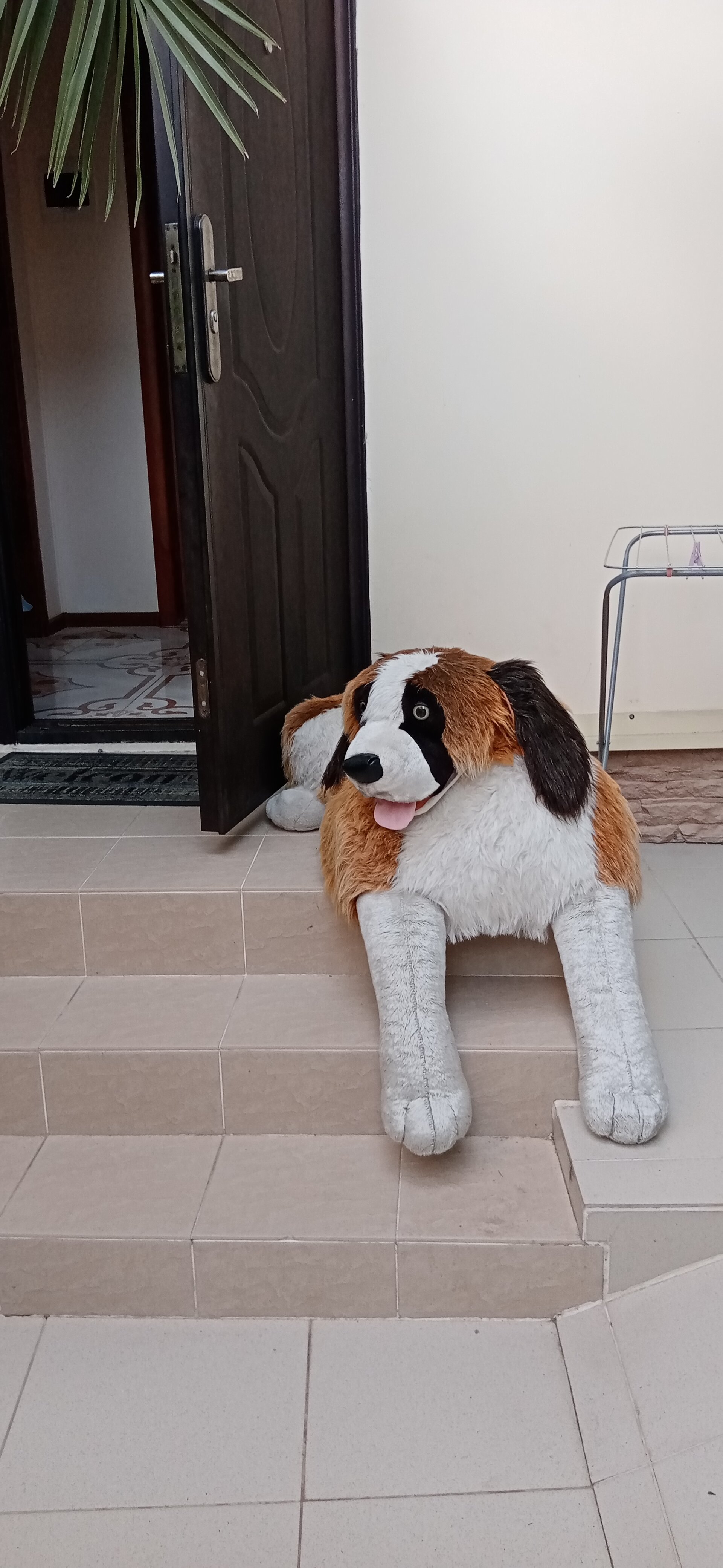 Фото Сабрина