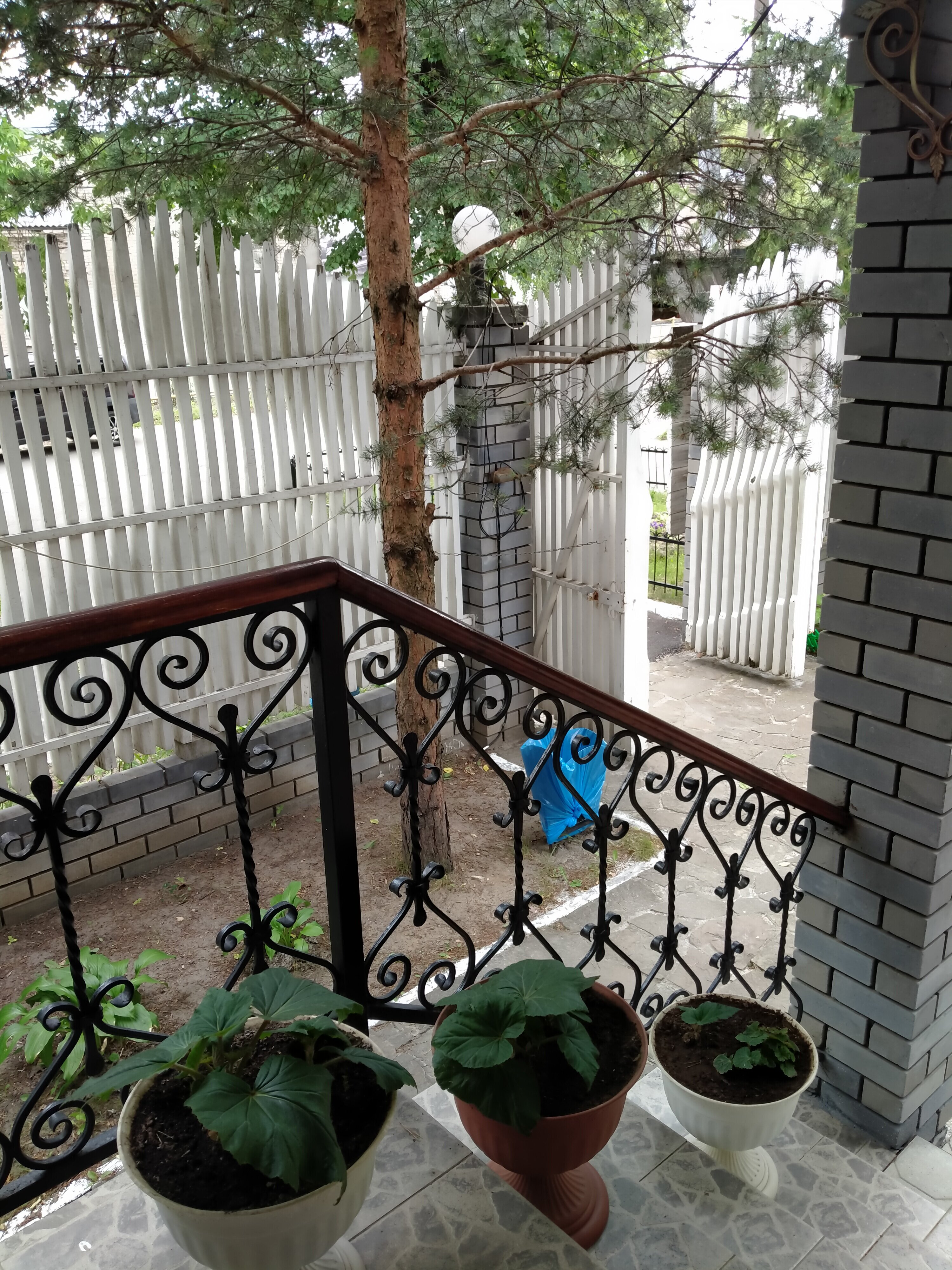 Фото Остров