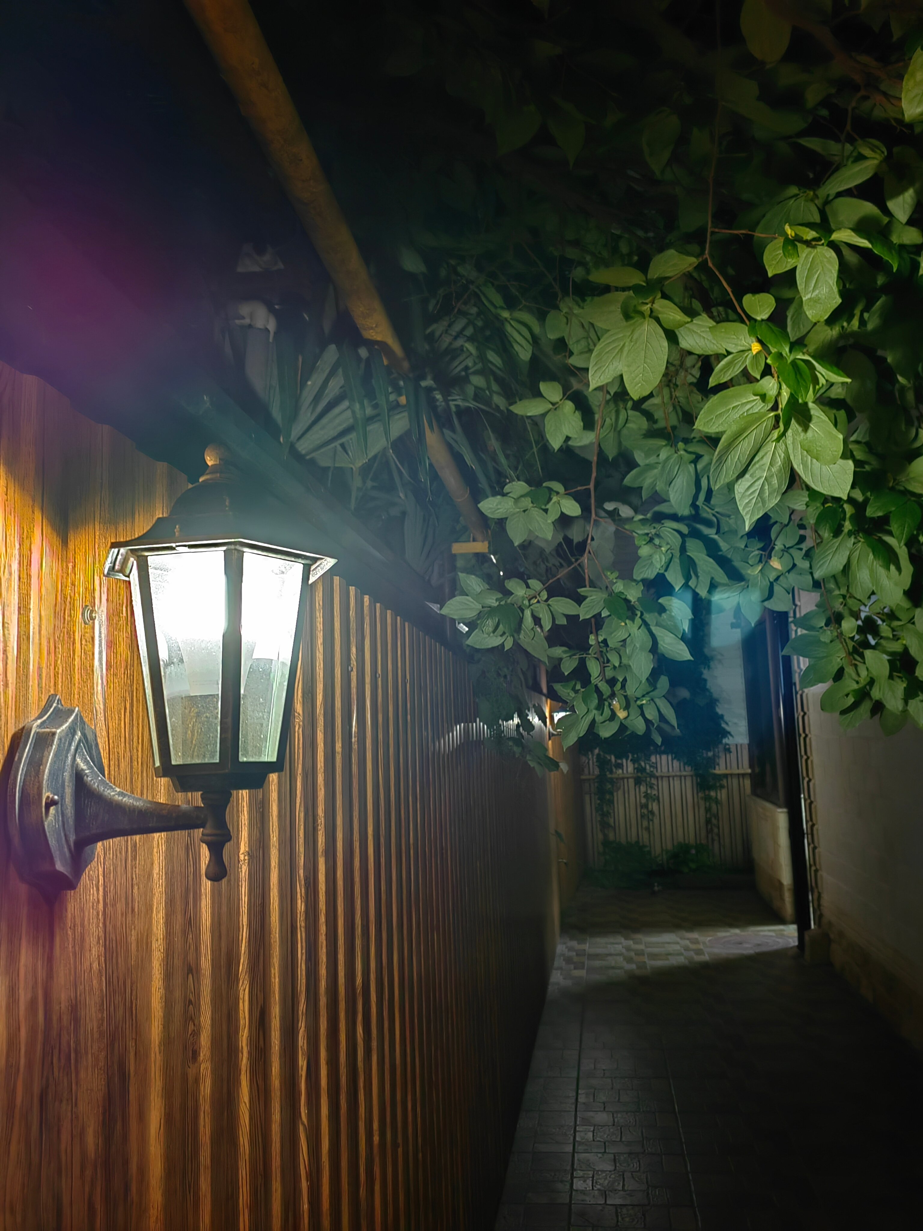 Фото Willa de Sofia