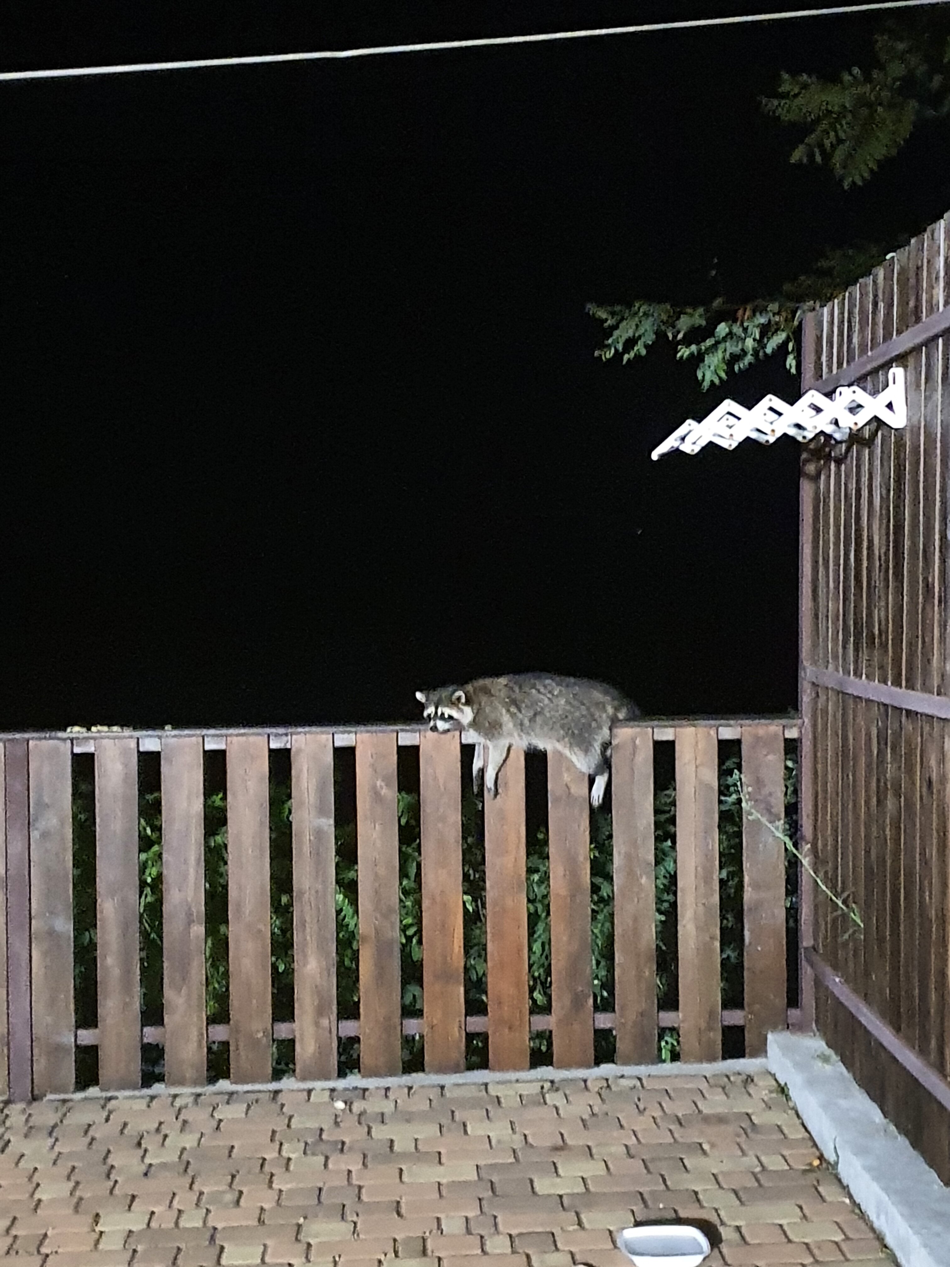 Фото Прибрежная сказка