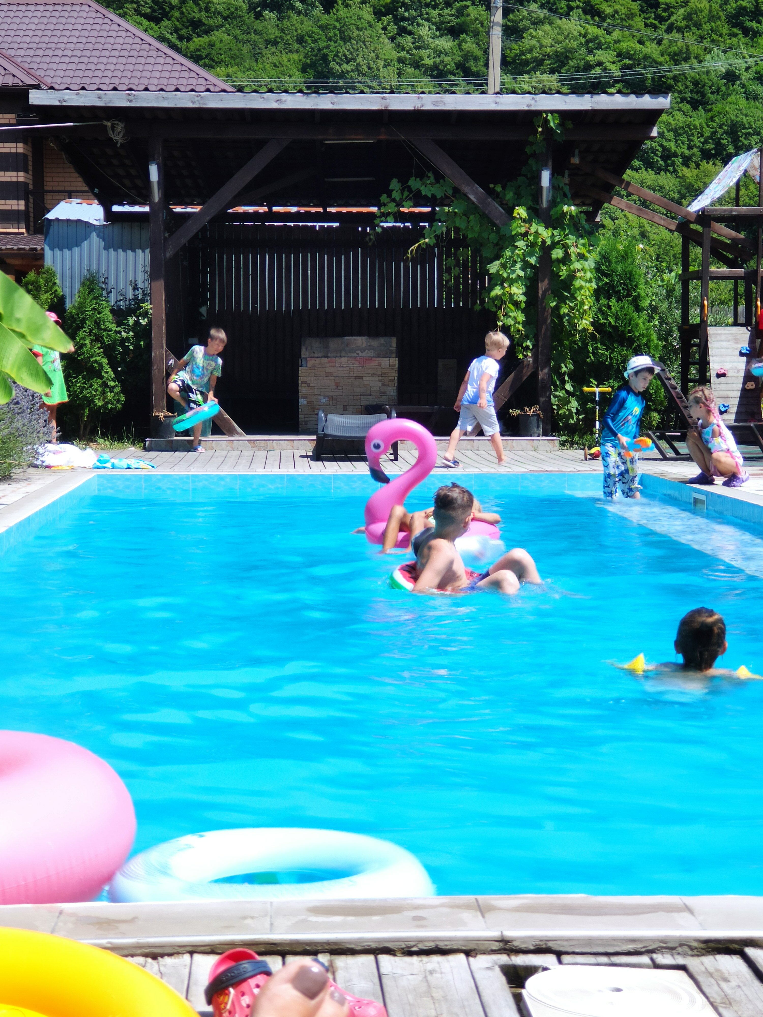 Фото Лесная поляна