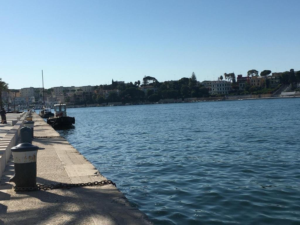 Фото Hotel Nettuno