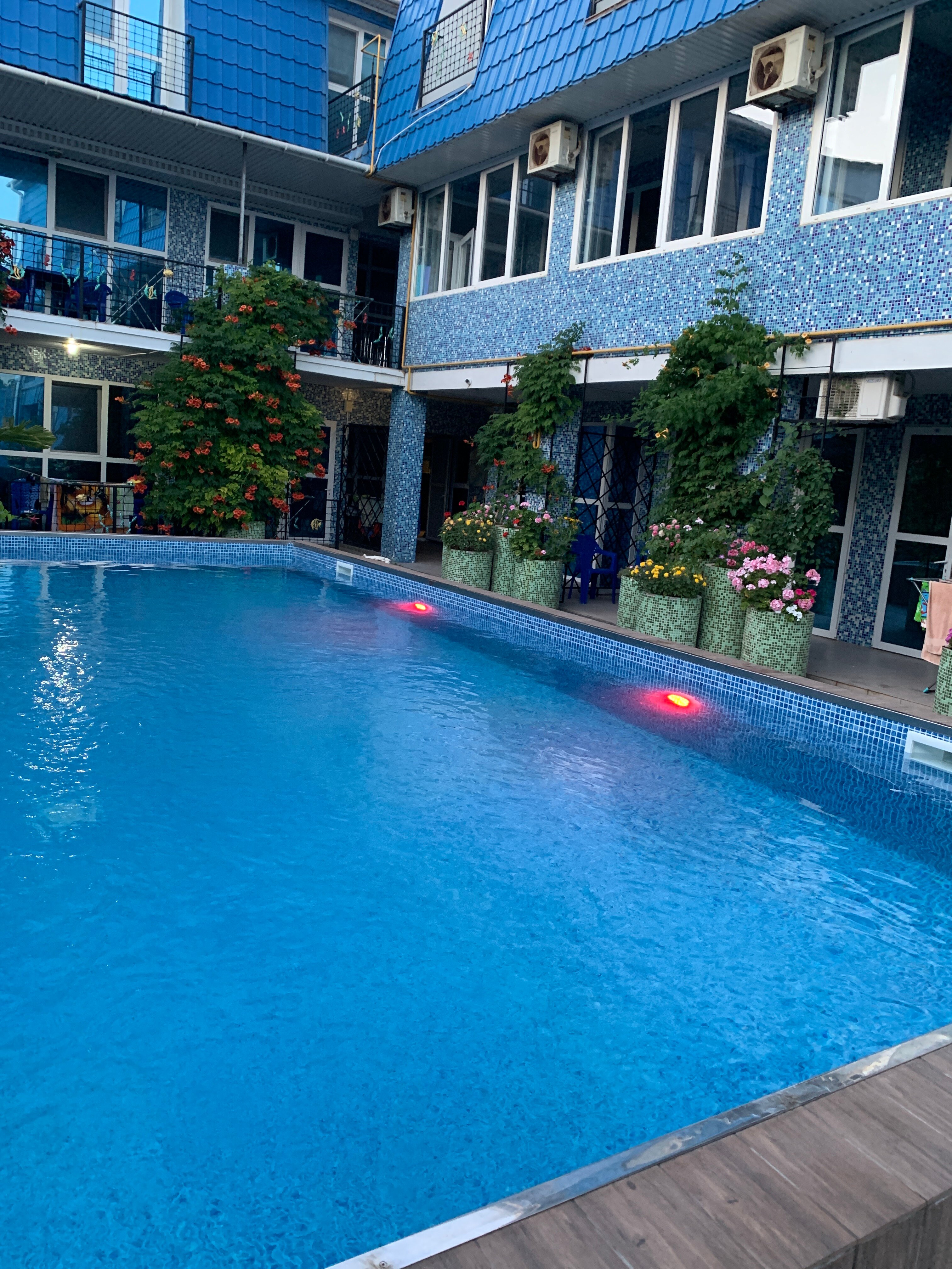 Фото Золотая рыбка