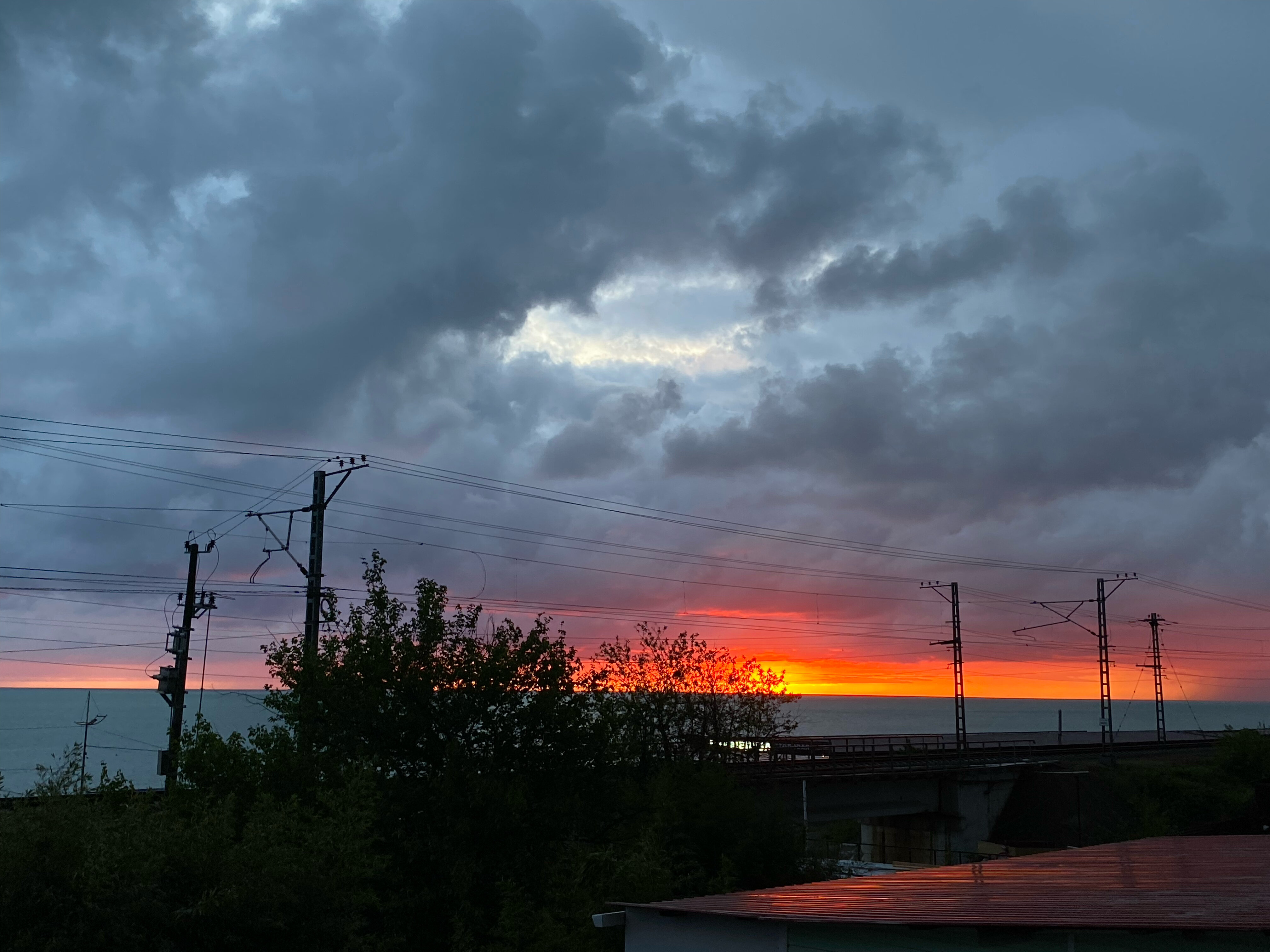 Фото Роза Ветров