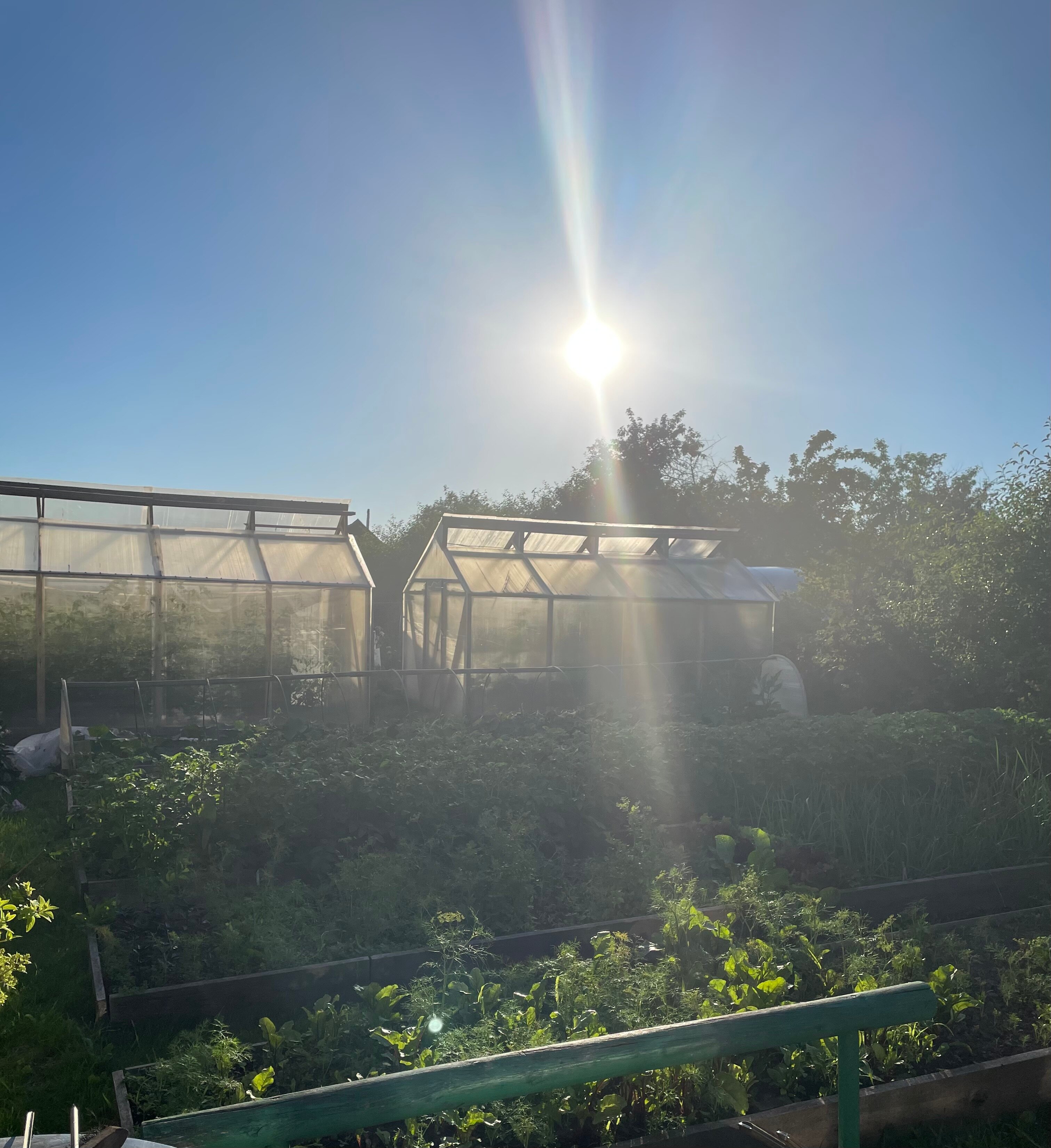 Фото Эко-хаус у реки