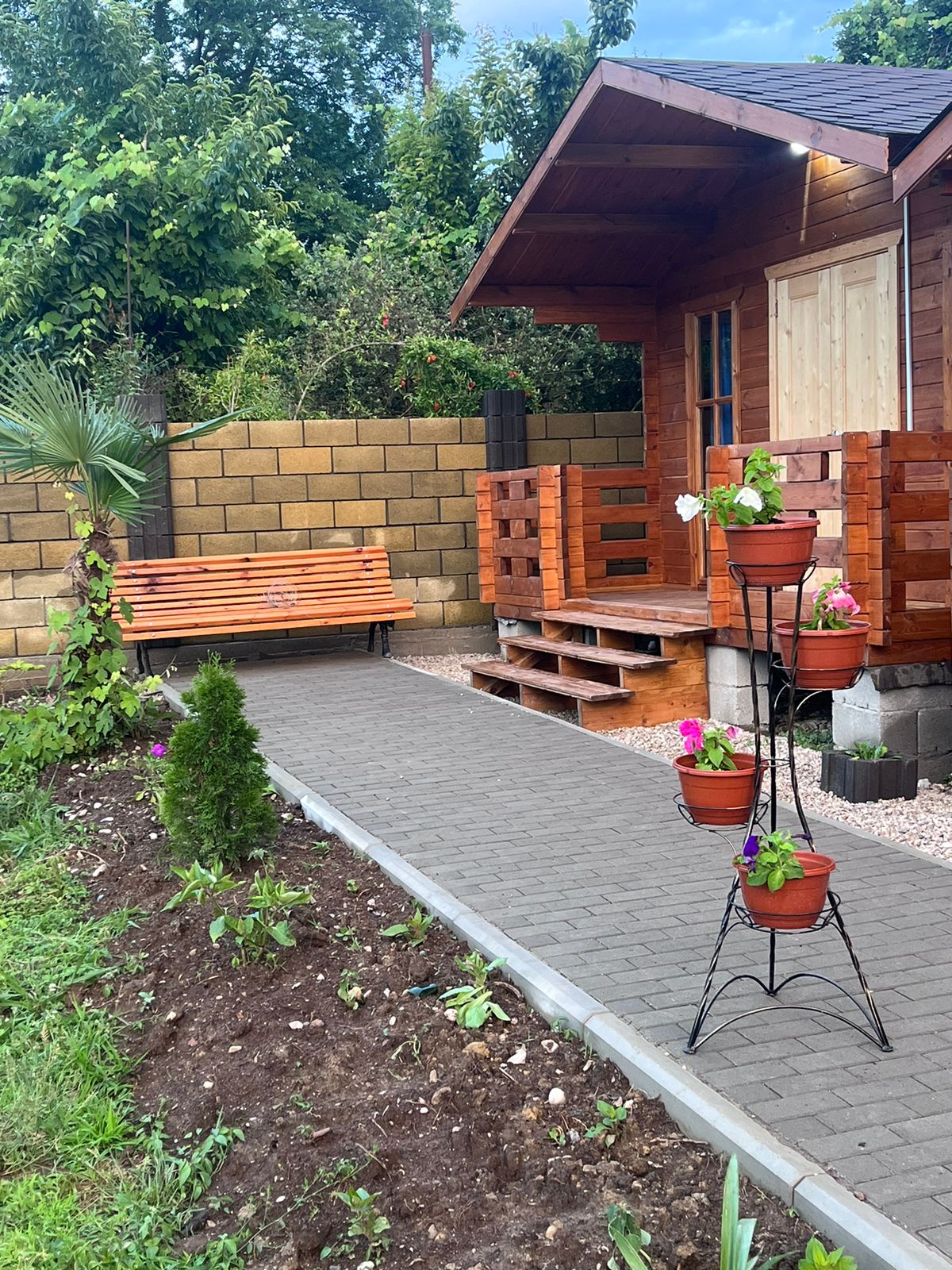 Фото Камелия