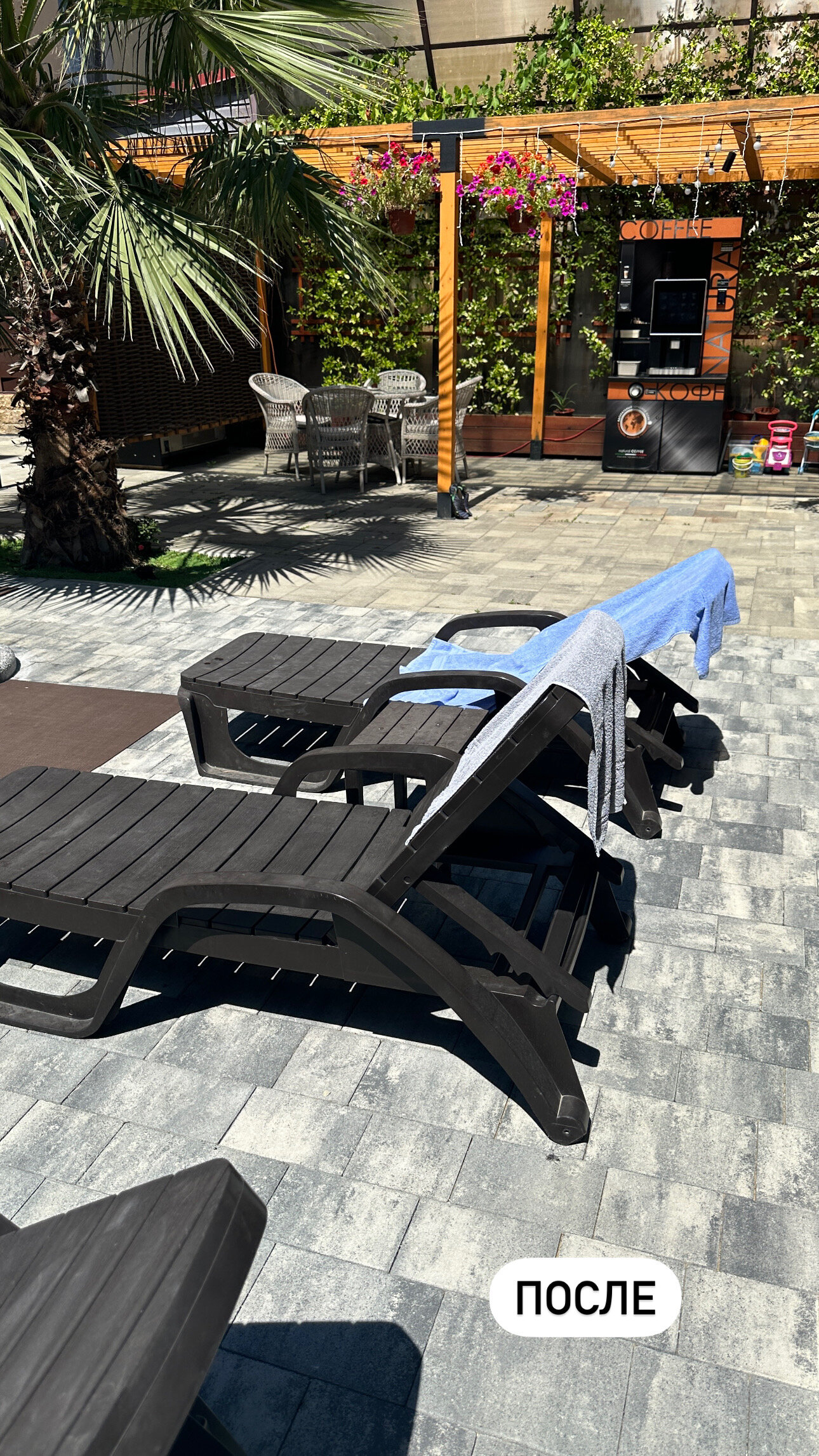 Фото SubTropical