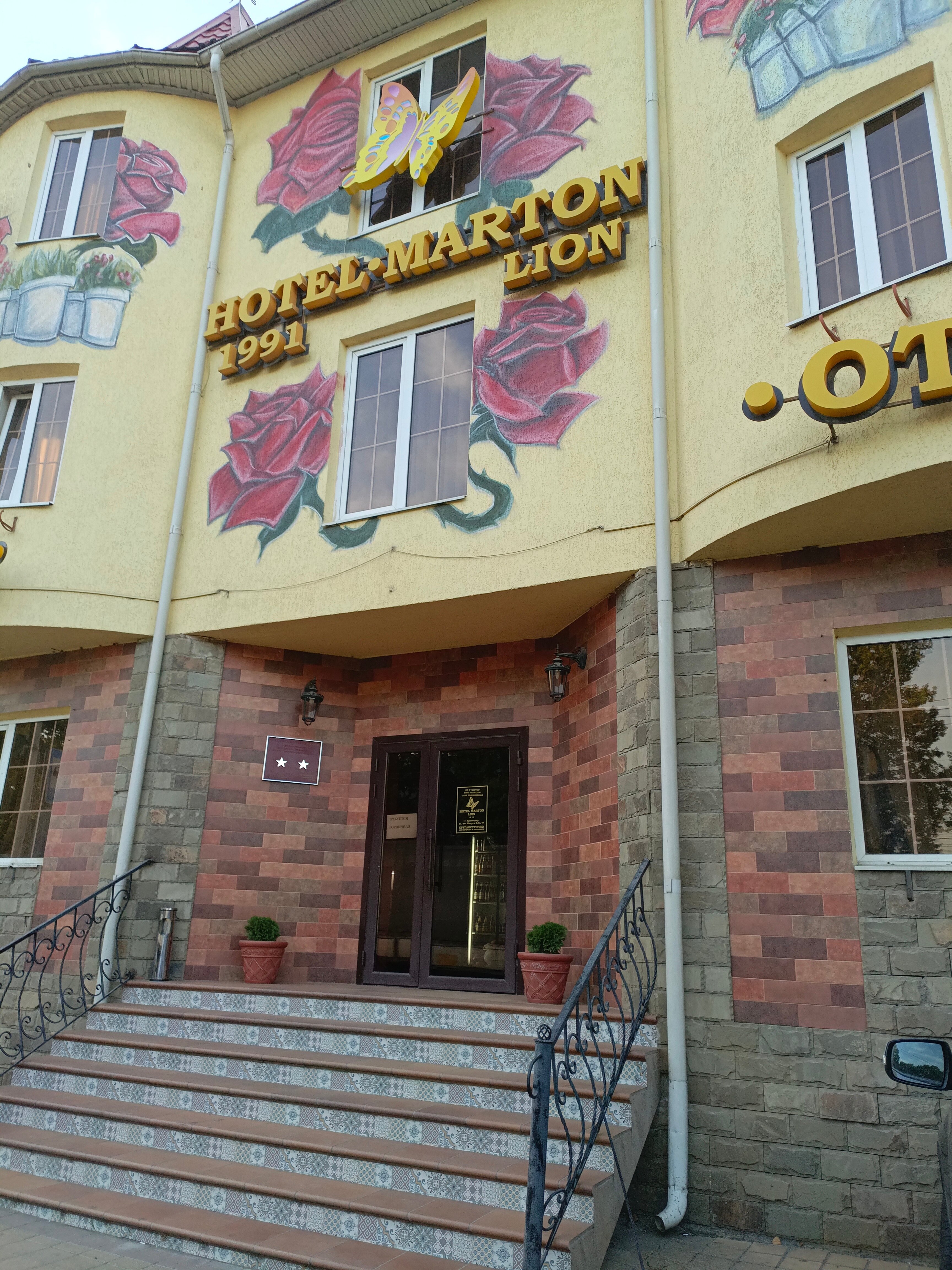 Фото Мартон Лион