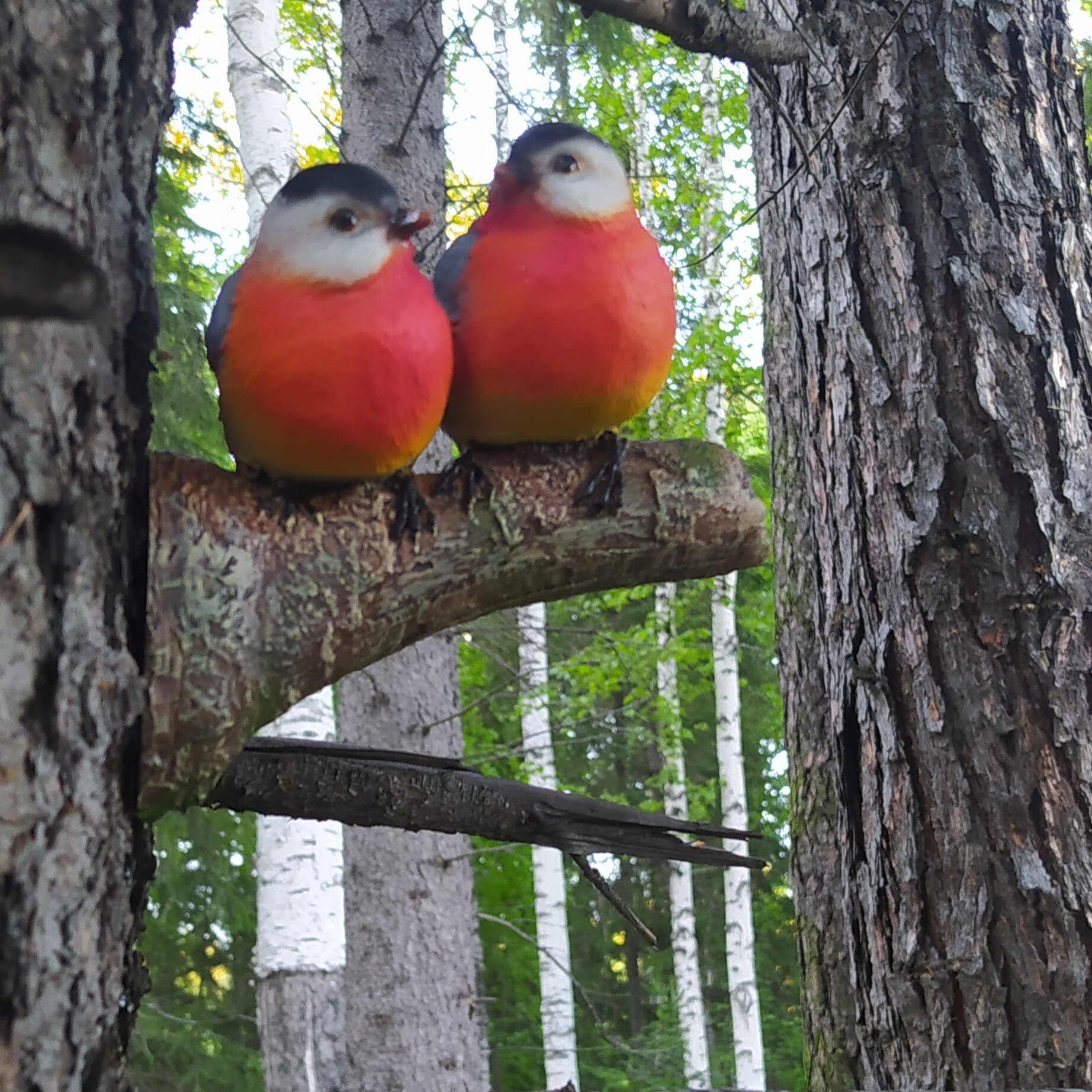 Фото Снегири Парк