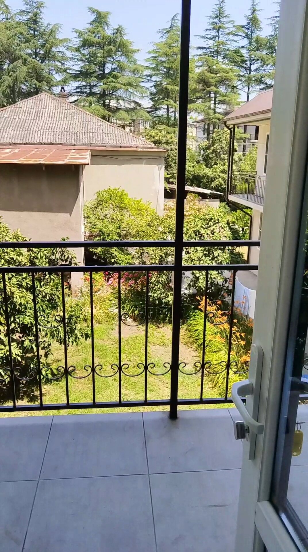 Фото Сосновый рай