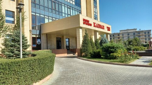 Олар есекке үлкен заттарды енгізеді