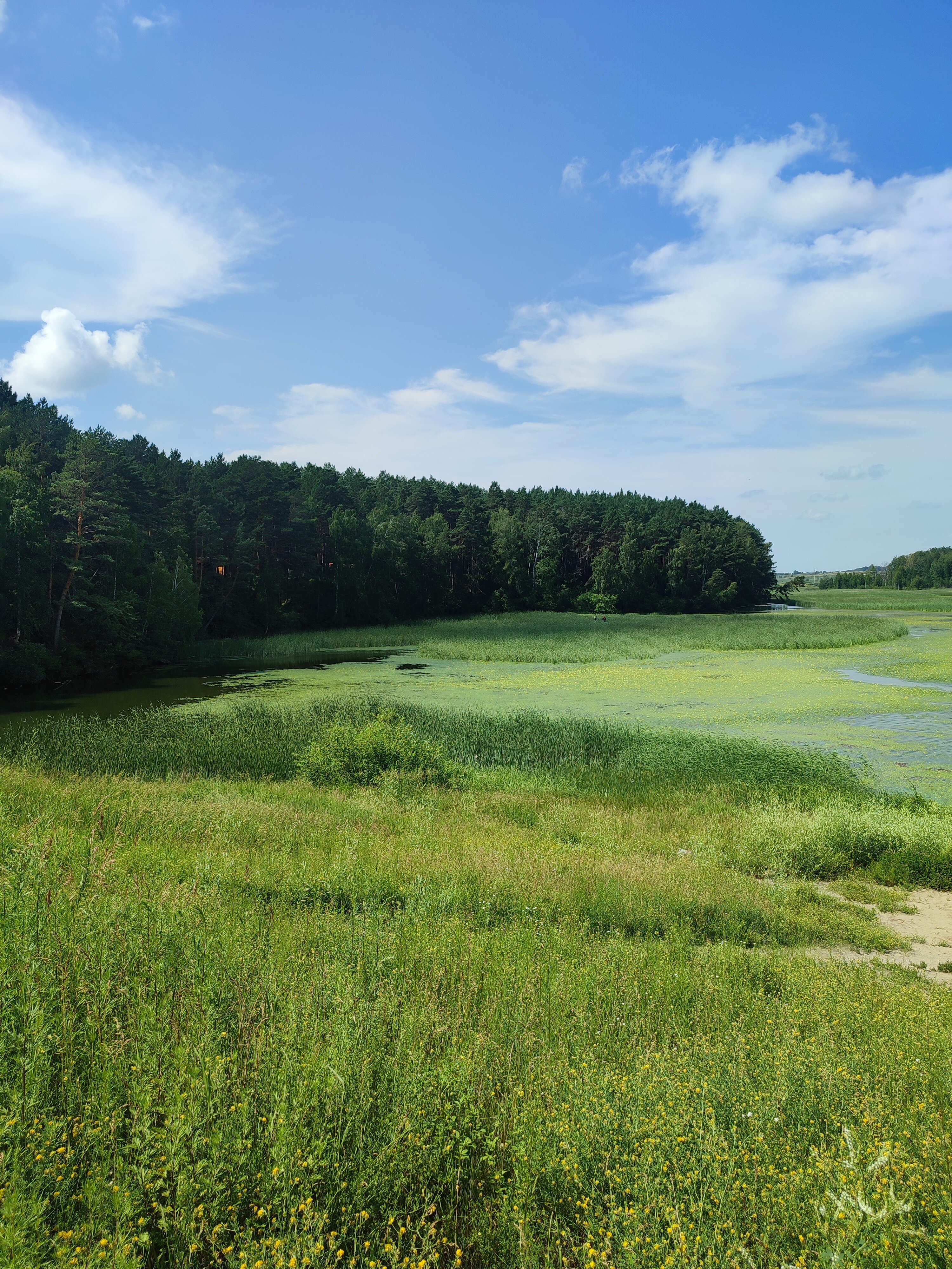Фото Лунёвка