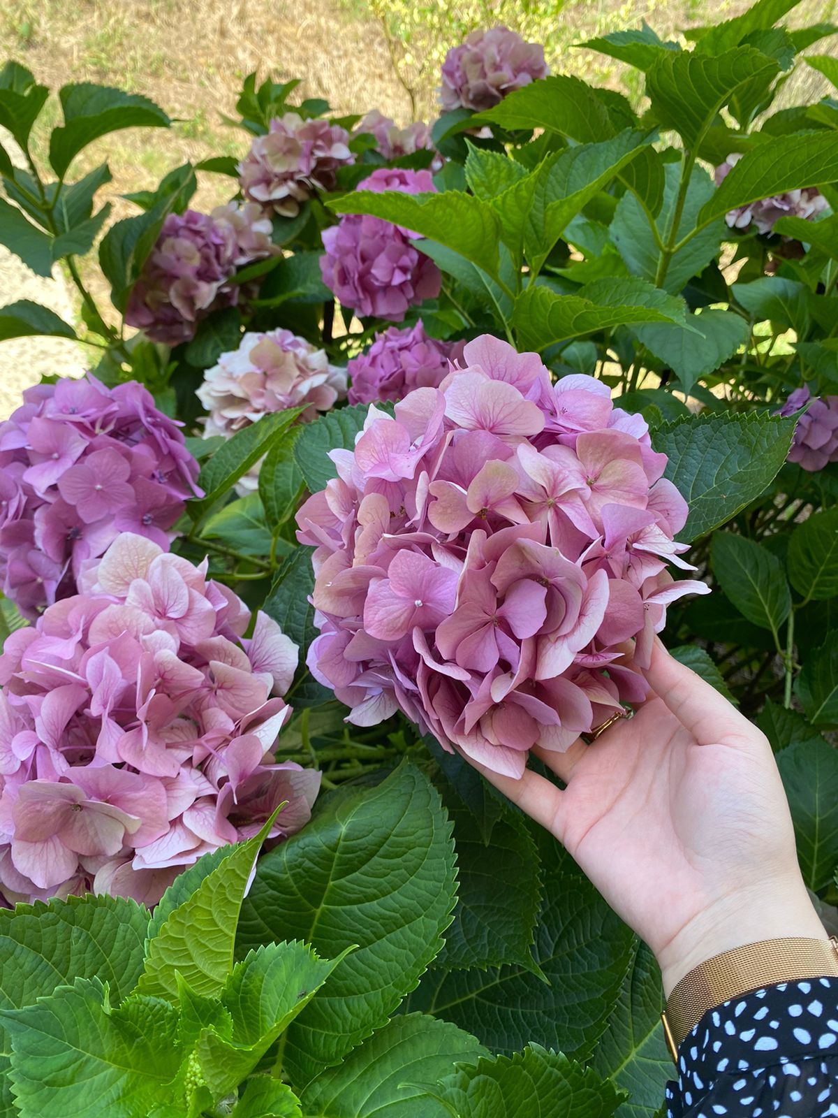 Фото Горное Ущелье