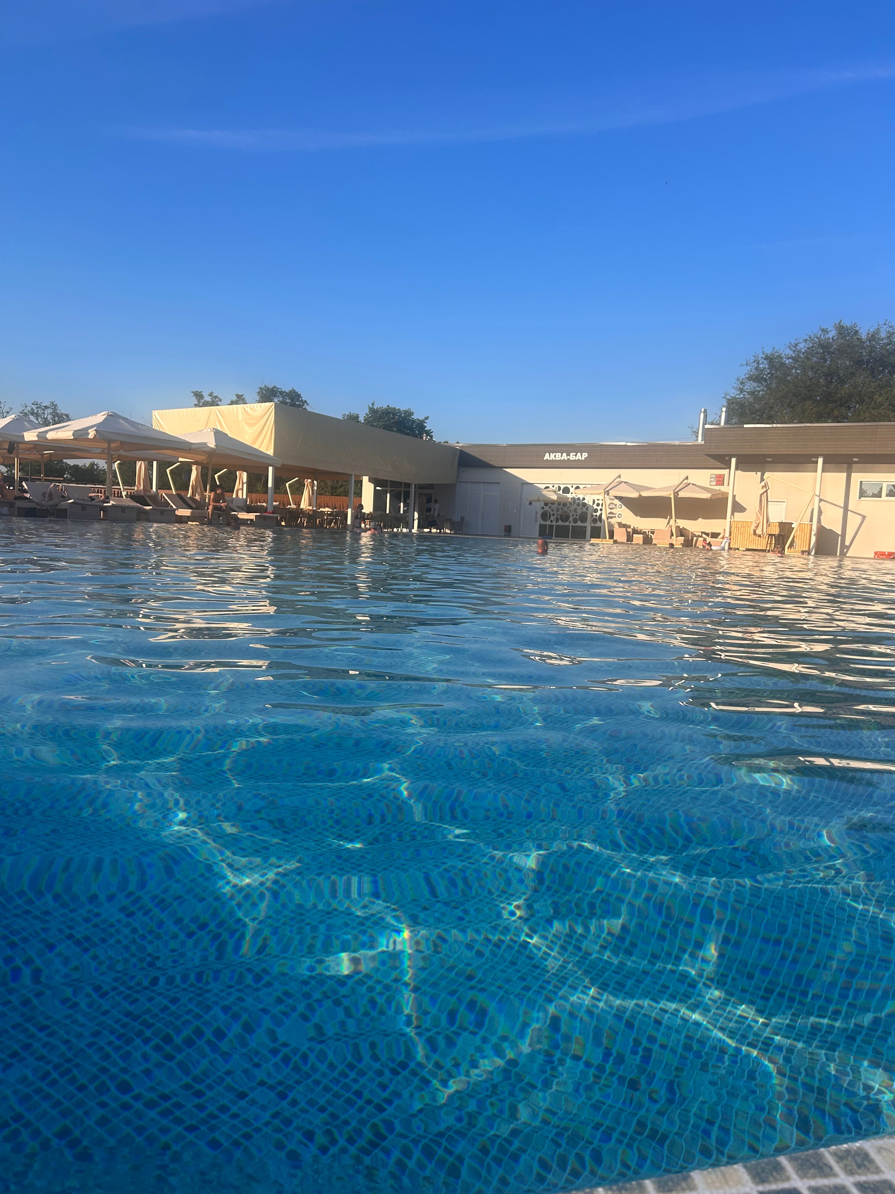 Фото Наша Хвоя