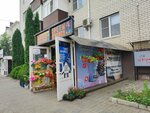 Sam Market (Chekhova Street, 85/14А), phone repair