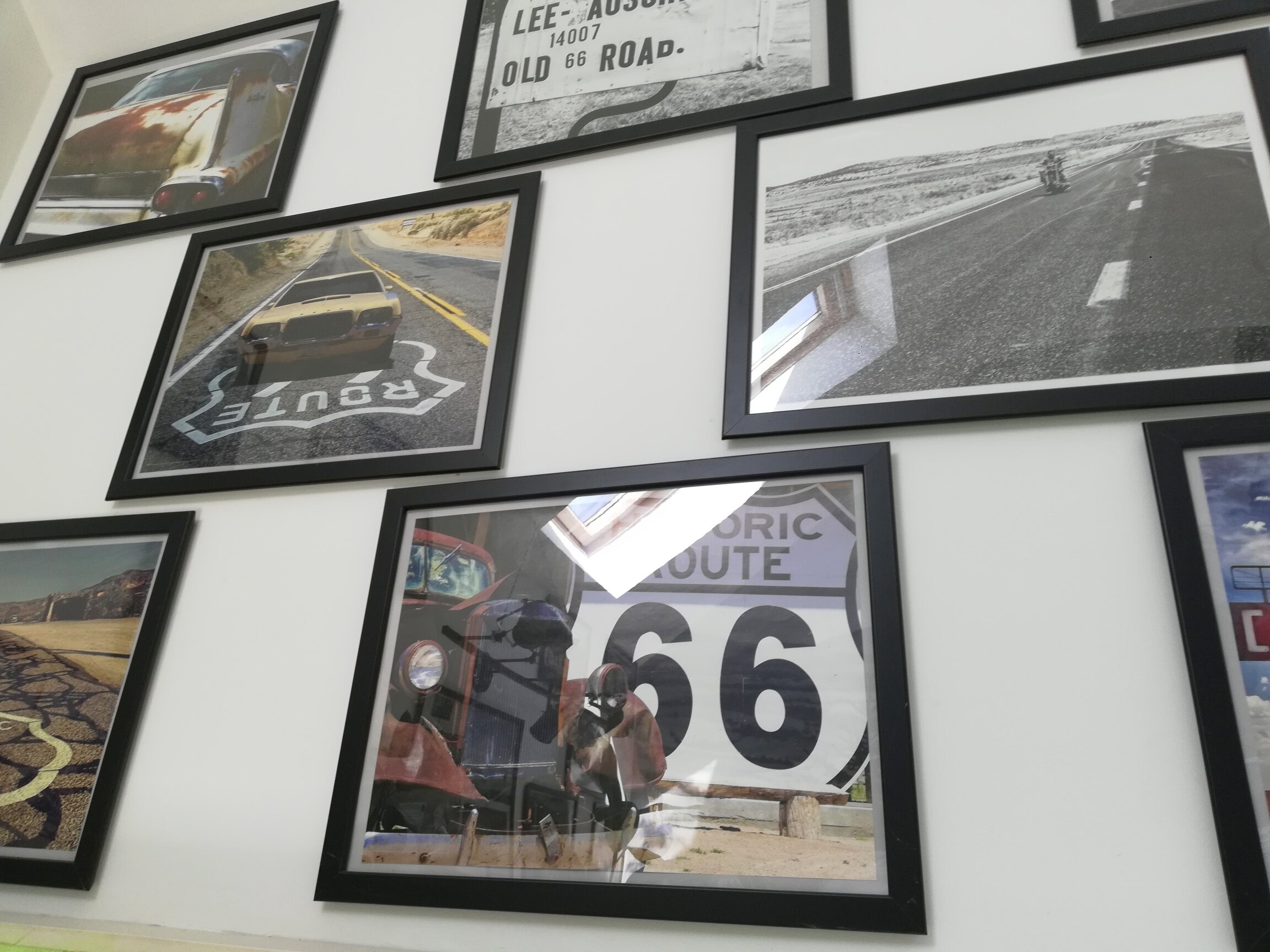 Фото Альбатрос