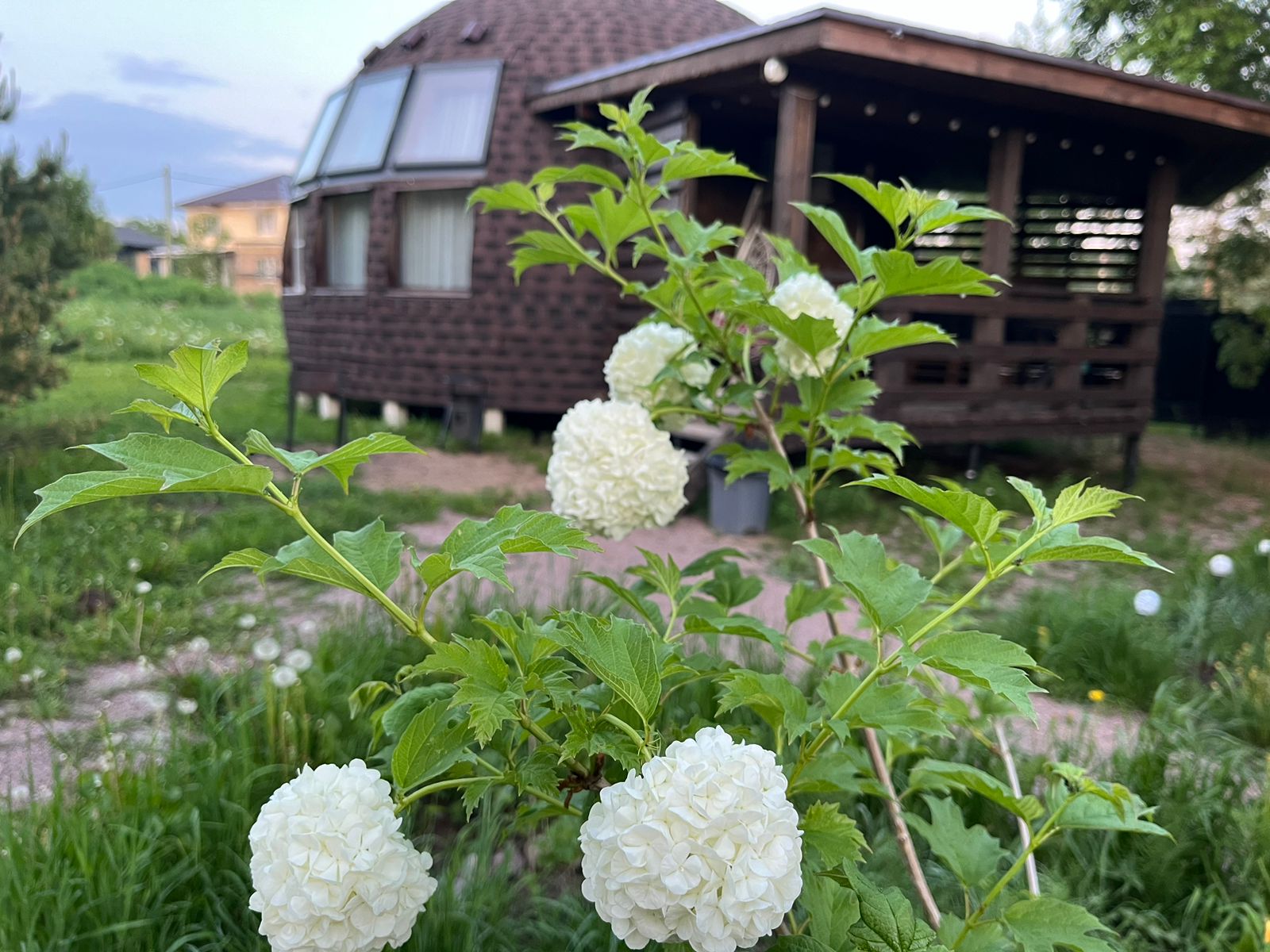 Фото Рай в шалаше