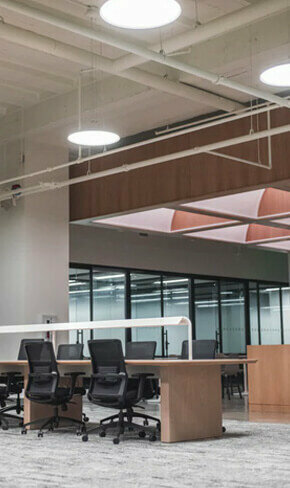 Business consulting Assertive Zone, Dubai, photo