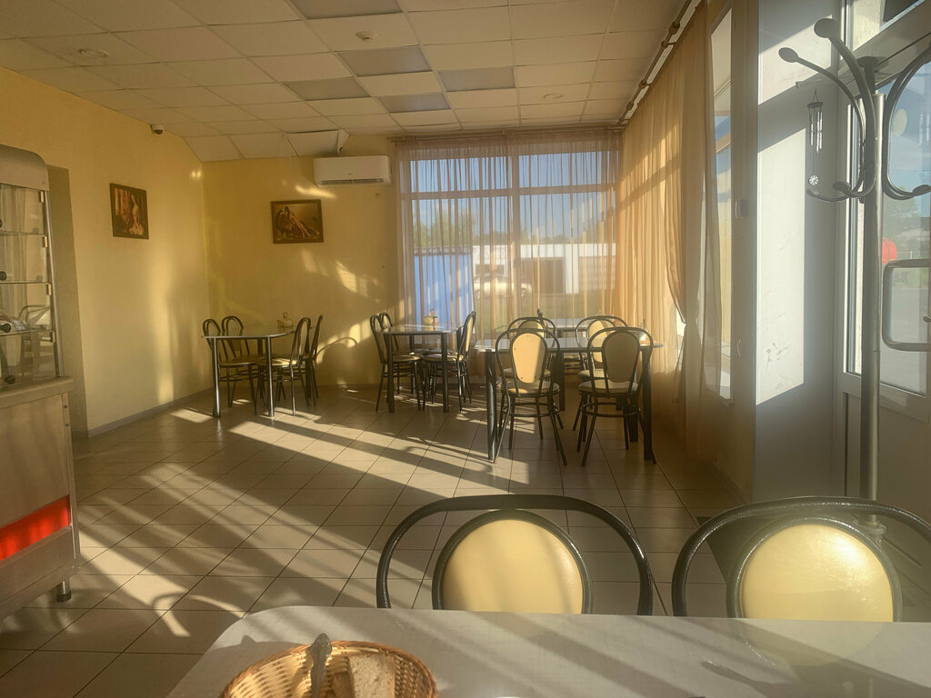 Кафе Львица, Пензенская область, фото