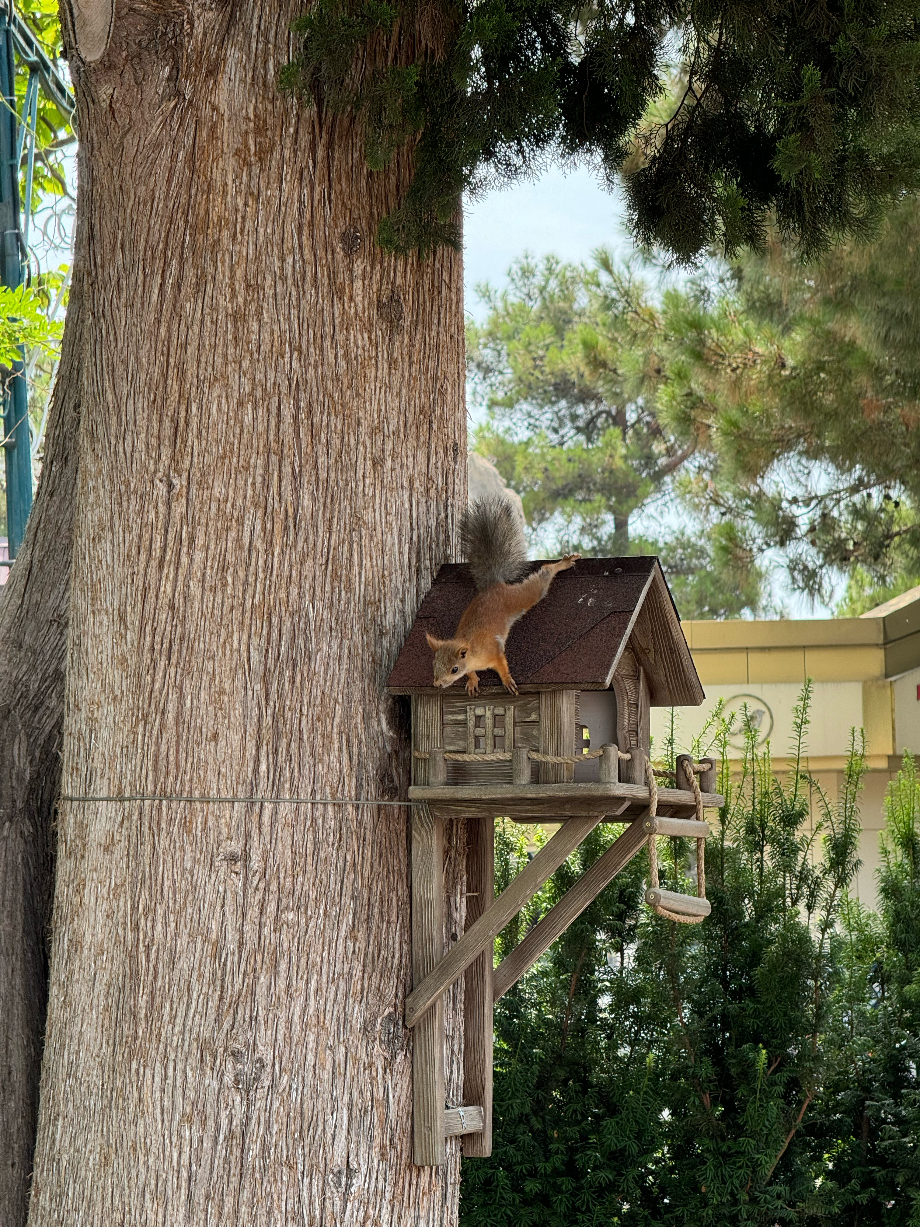 Фото Красная Талка