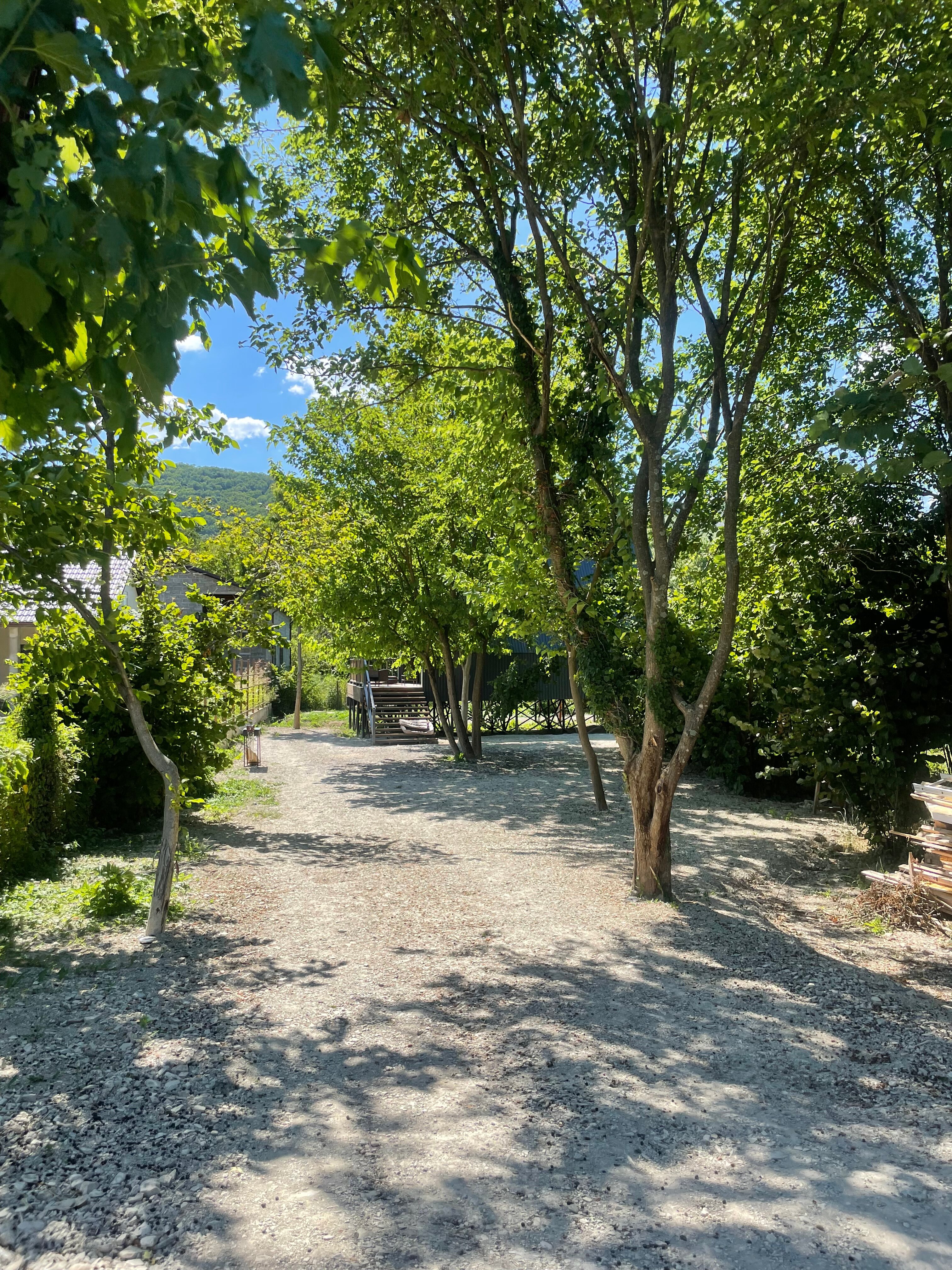 Фото Лео Ленд