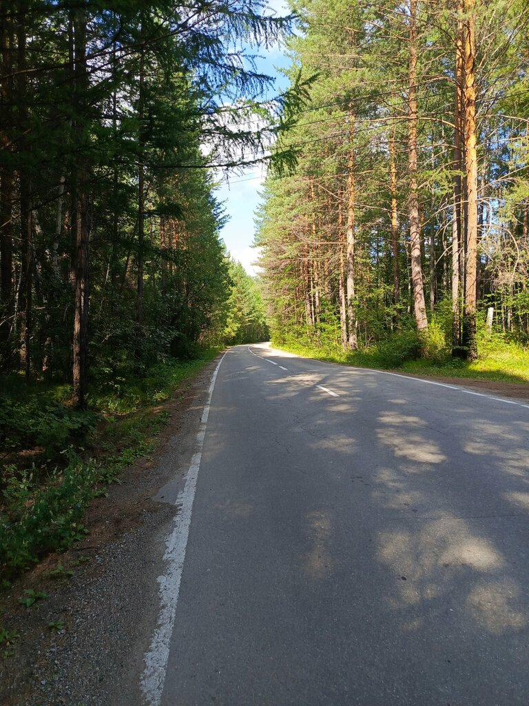 Summer camp Детский оздоровительный лагерь Солнечный, Irkutsk Oblast, photo