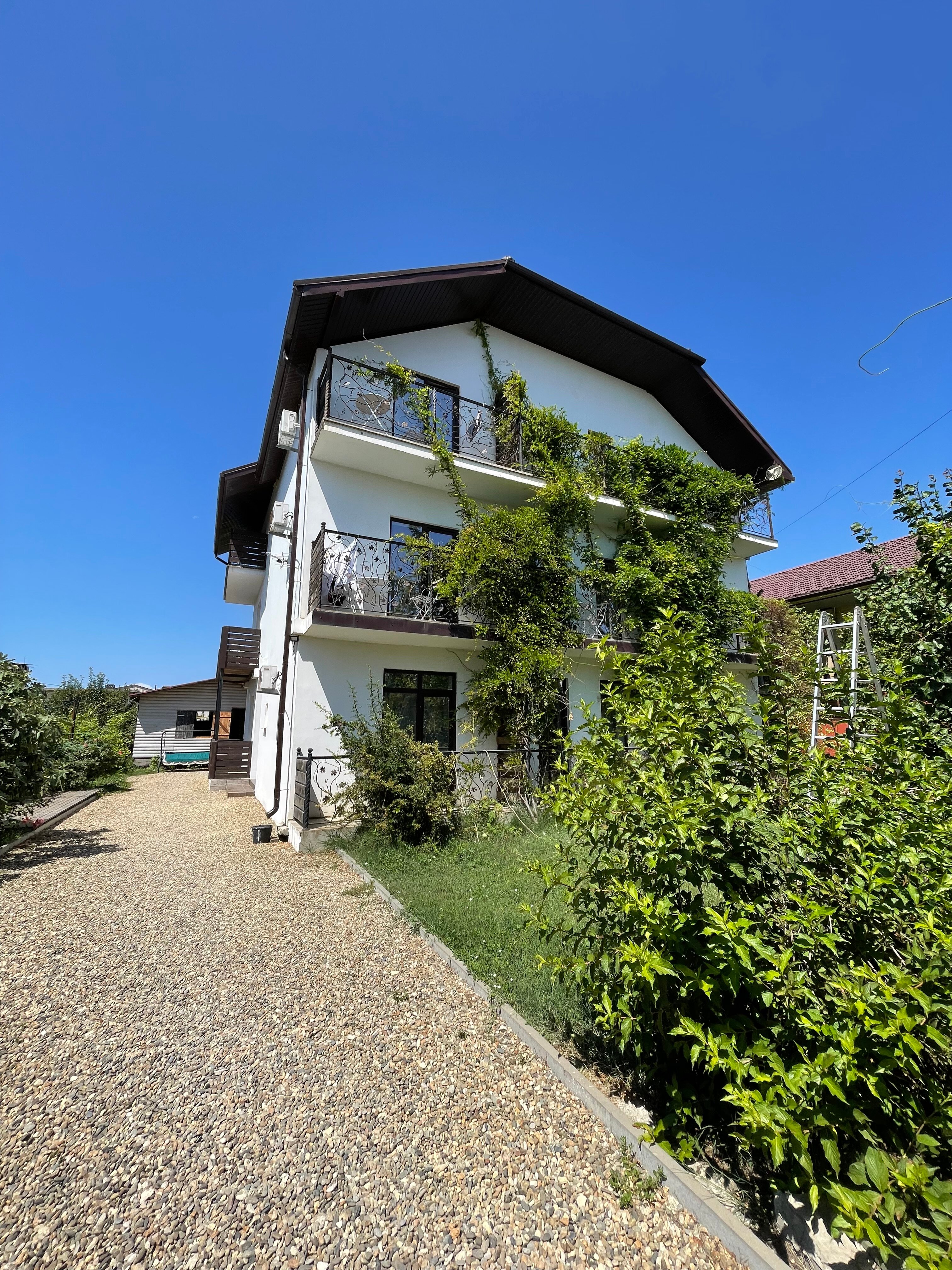 Фото Лазурный 38