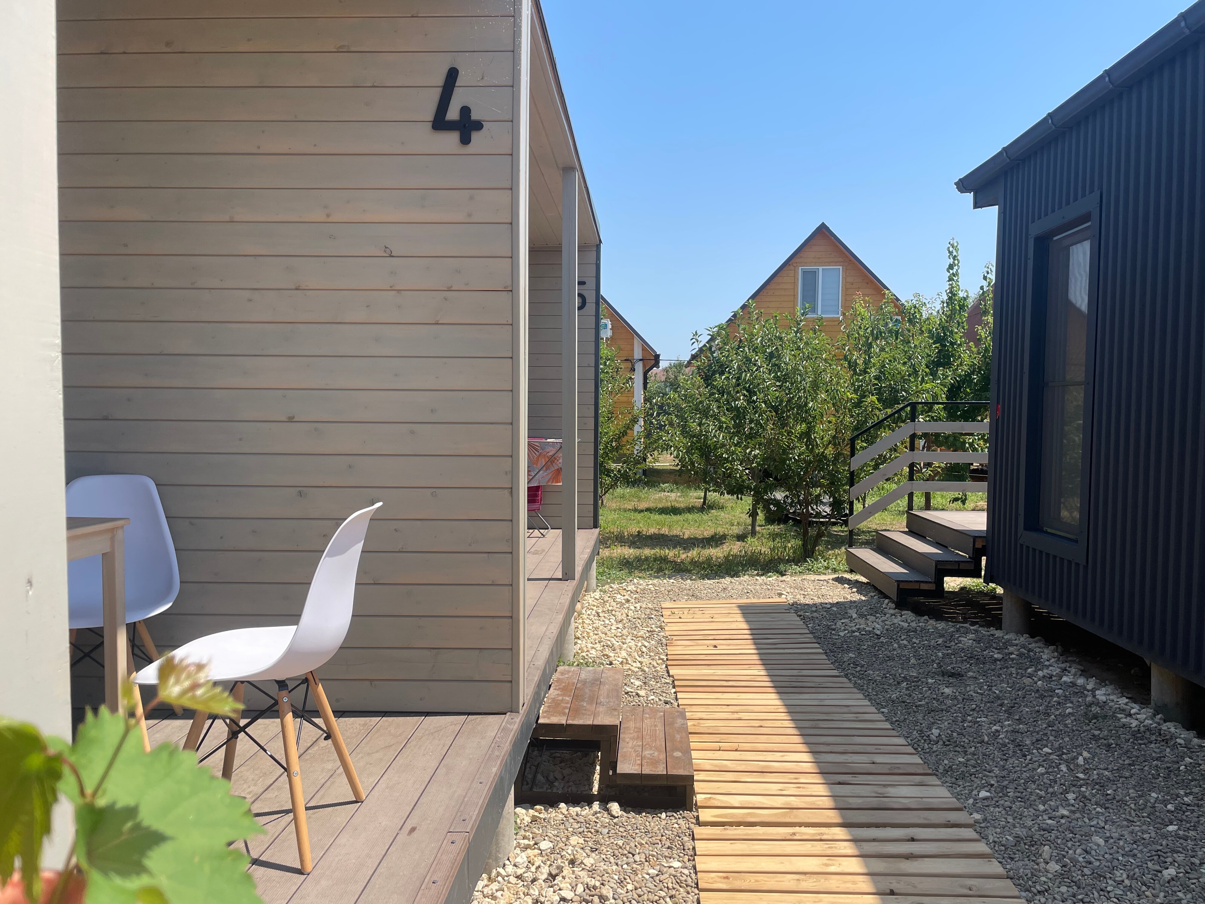 Фото Клевер