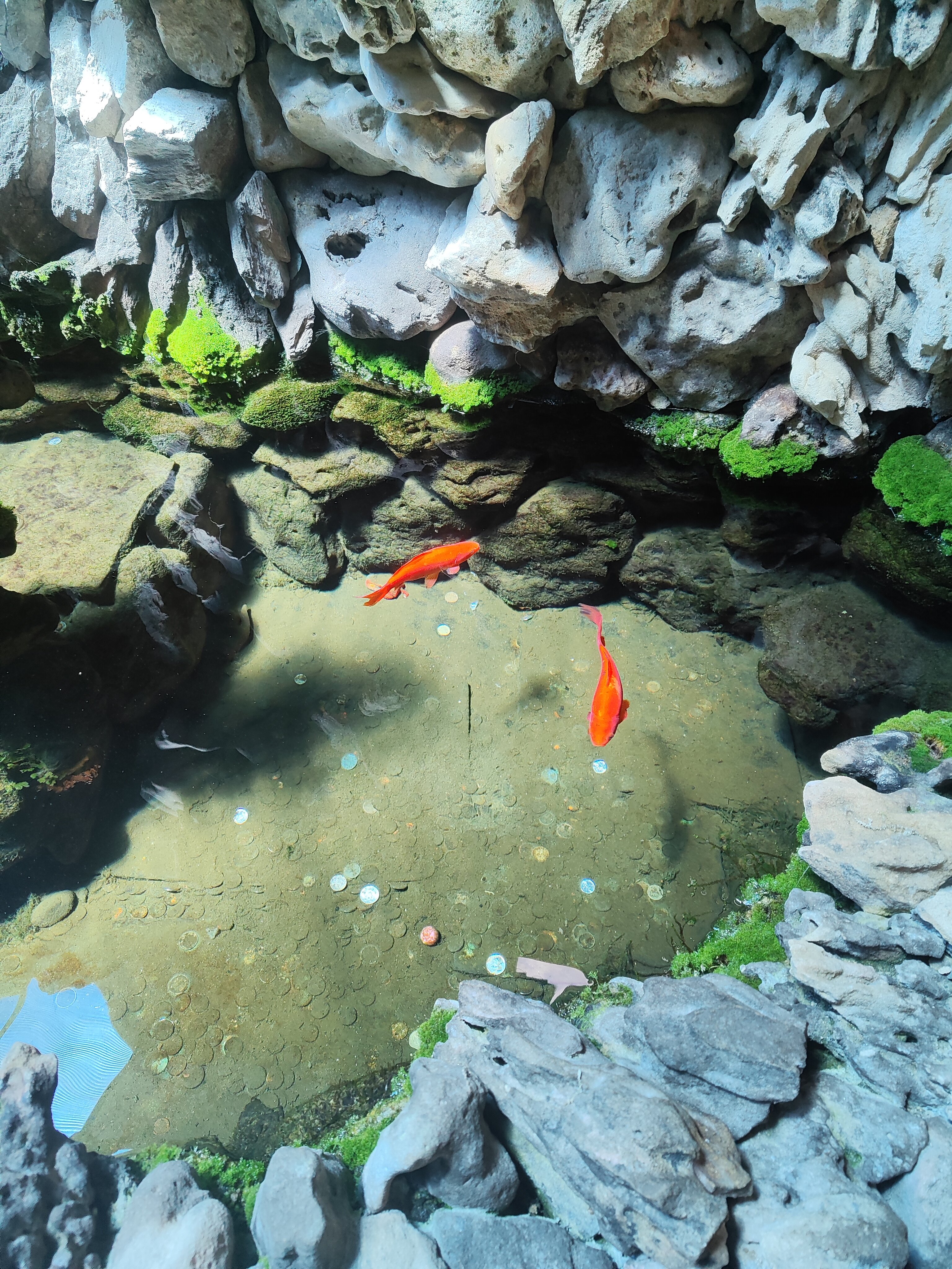 Фото Эдэран