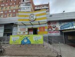 Goldfish (Nursultan Nazarbaev dańǵyly, 34) ، الأسماك والمأكولات البحرية
