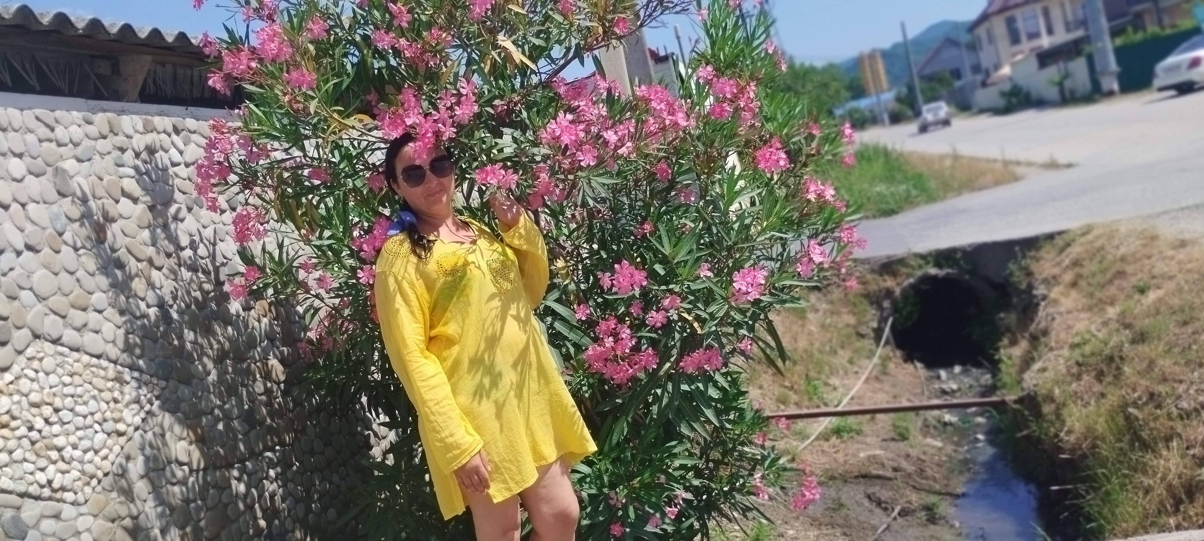 Фото Гостевой дом Мечта