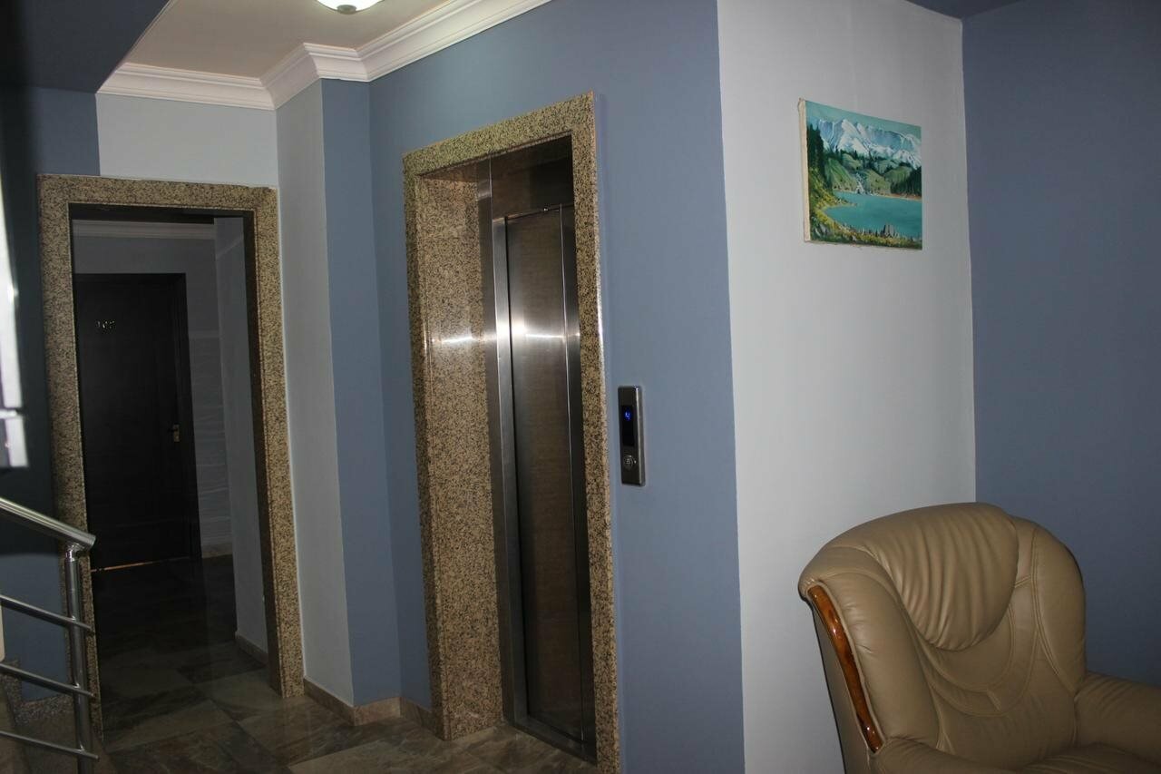 Фото Дельфин