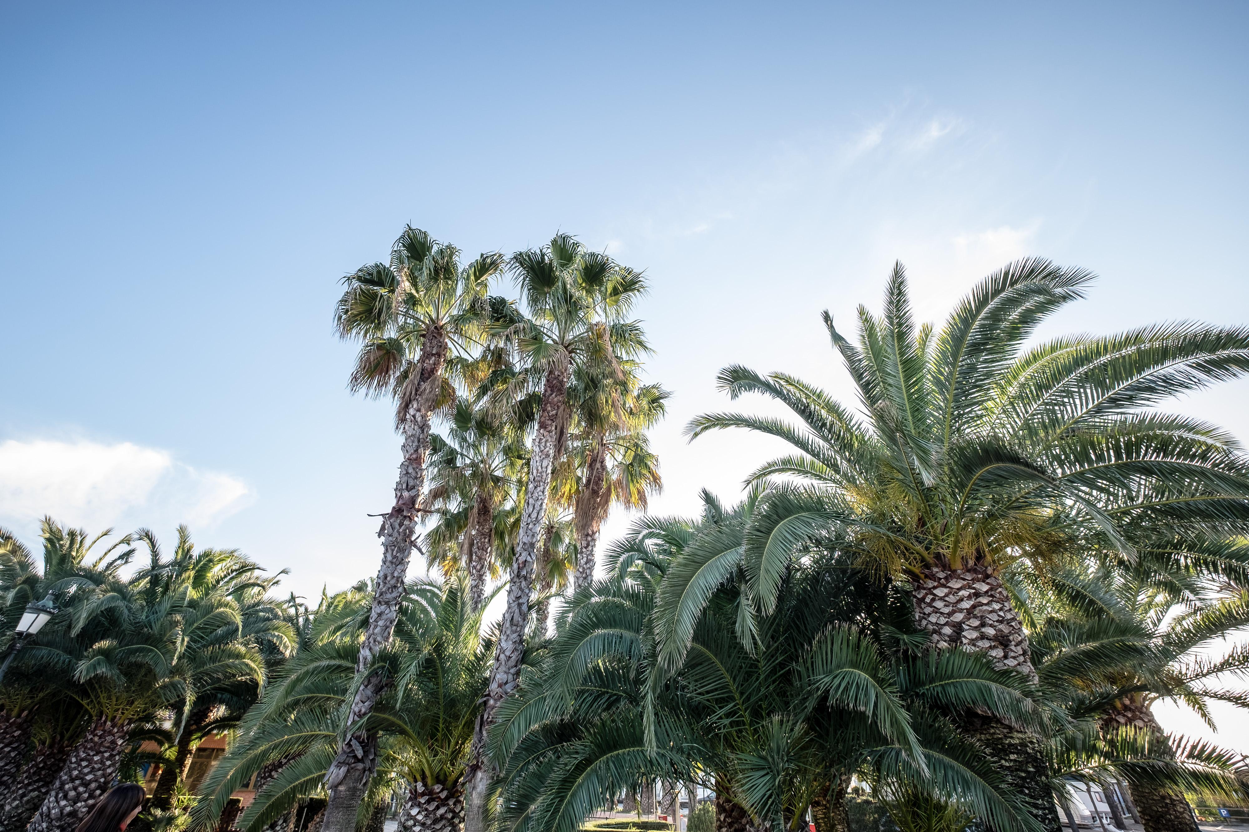 Фото Camping Vendrell Platja