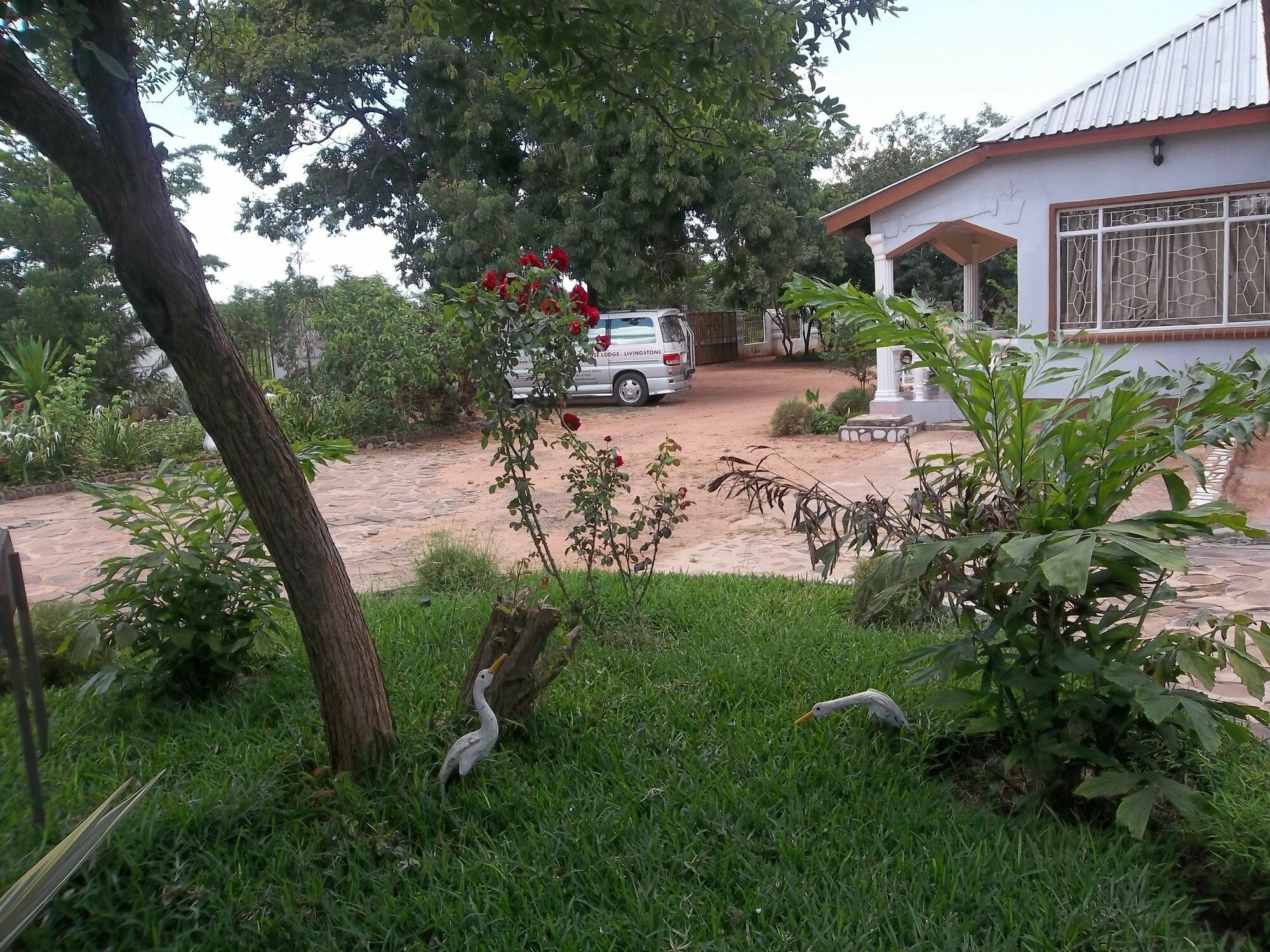 Фото White Rose Lodge