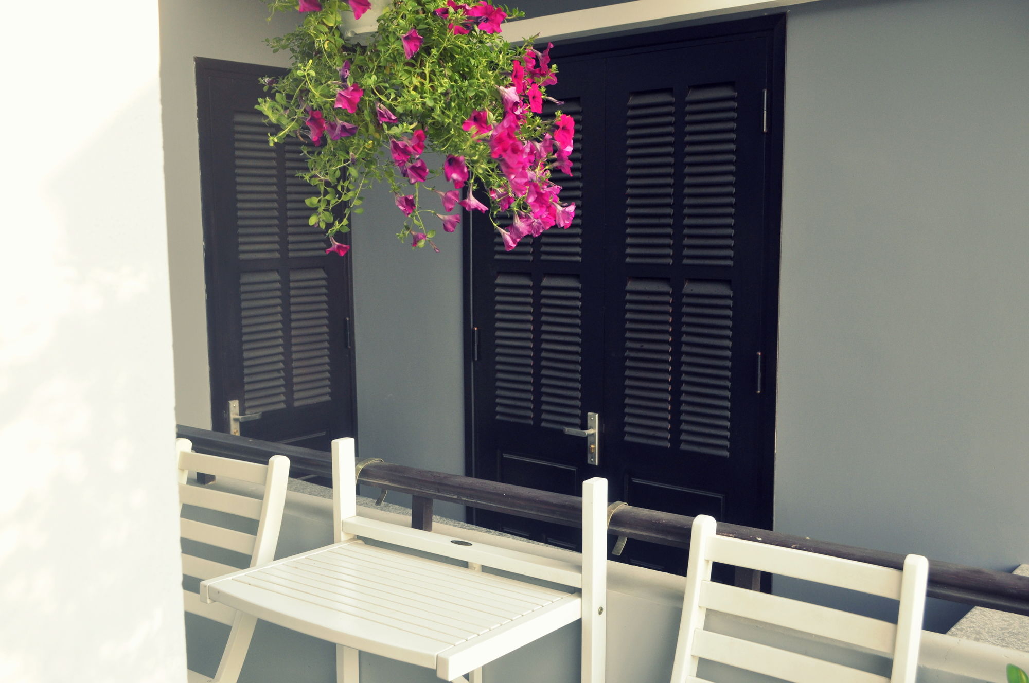 Фото Green Coco Homestay Hoi An