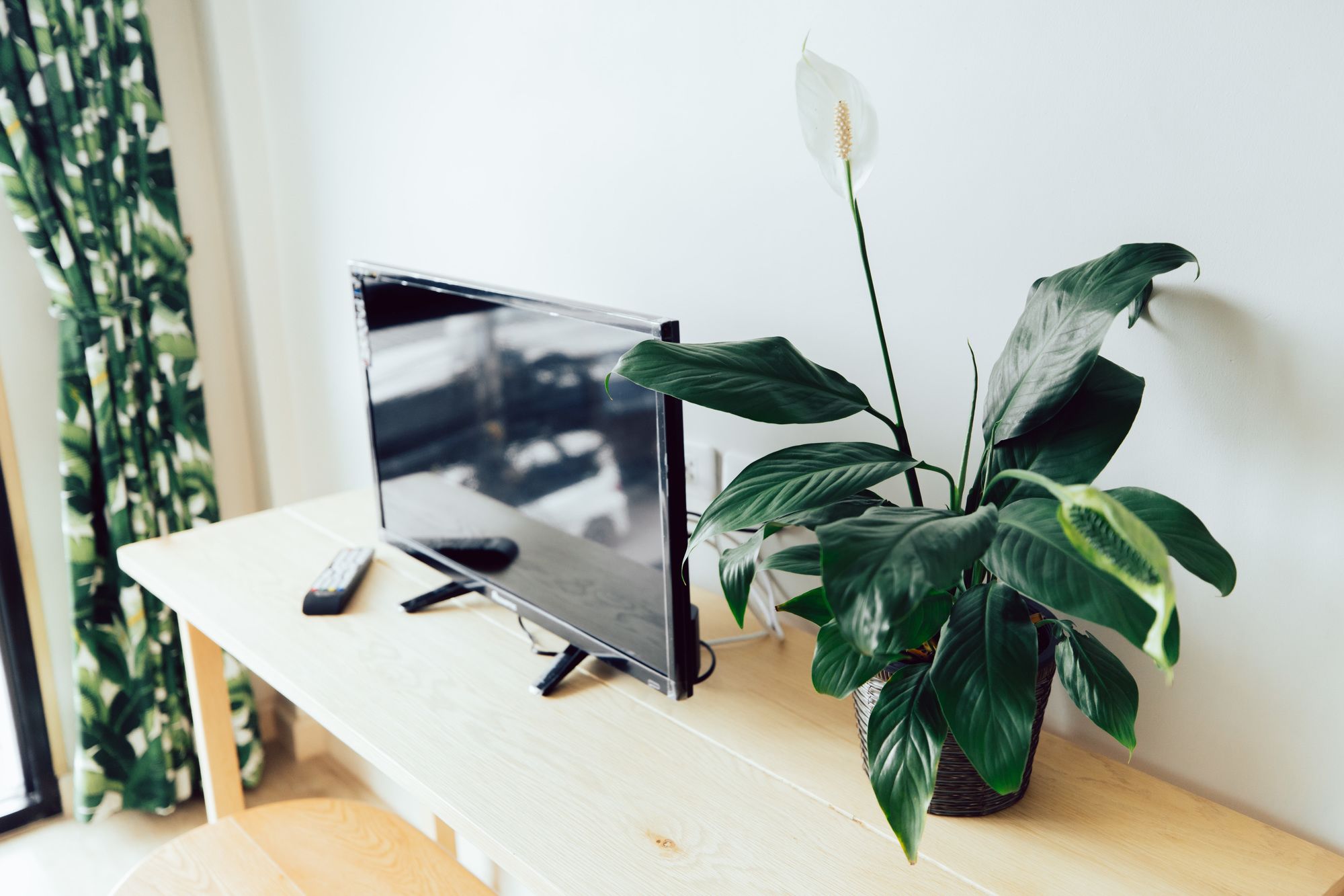 Фото Live n Leaf Lifestyle Homestay