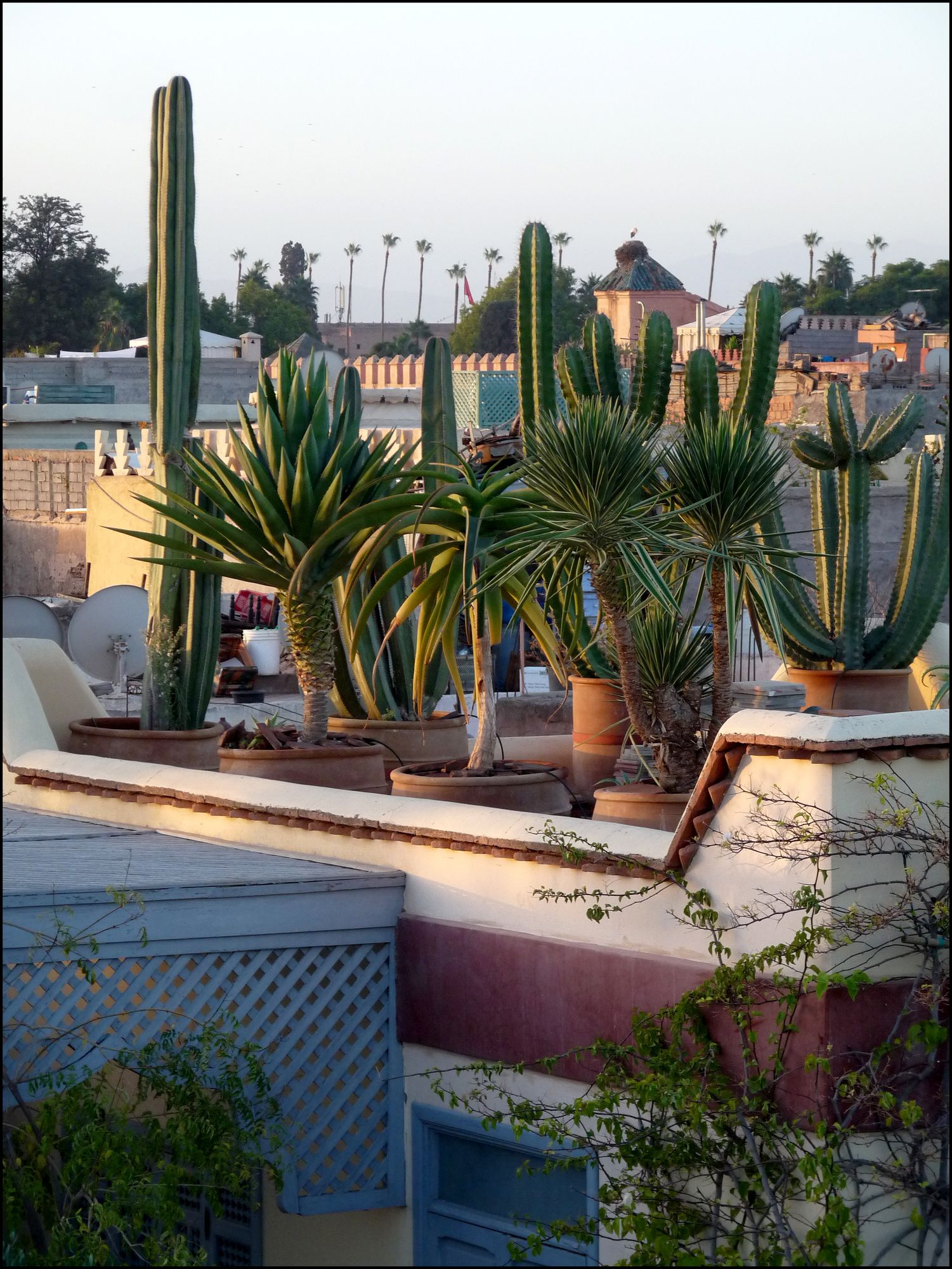 Фото Riad Noos Noos