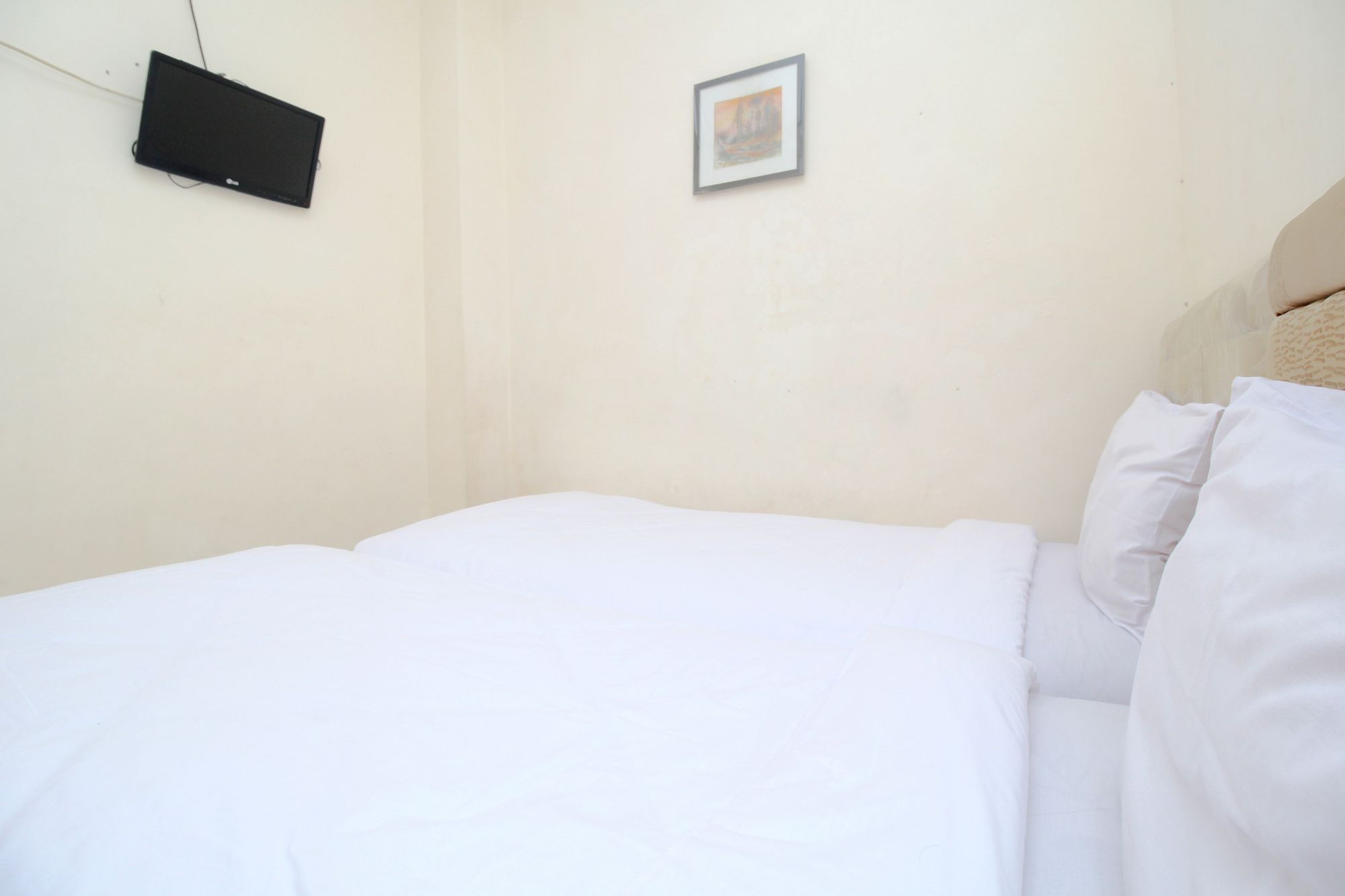 Фото Myzone Homtel