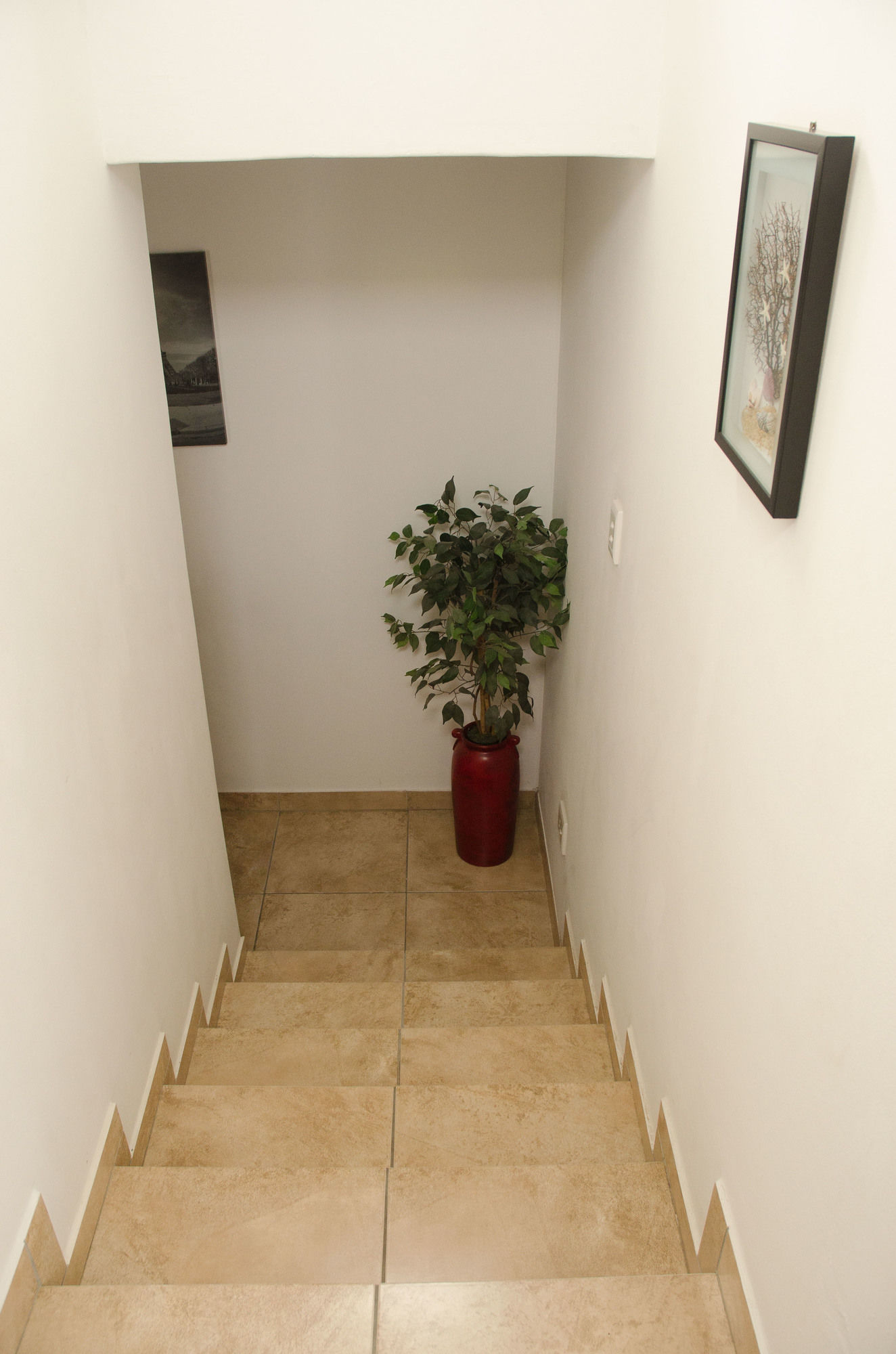 Фото Swakopmund Accommodation