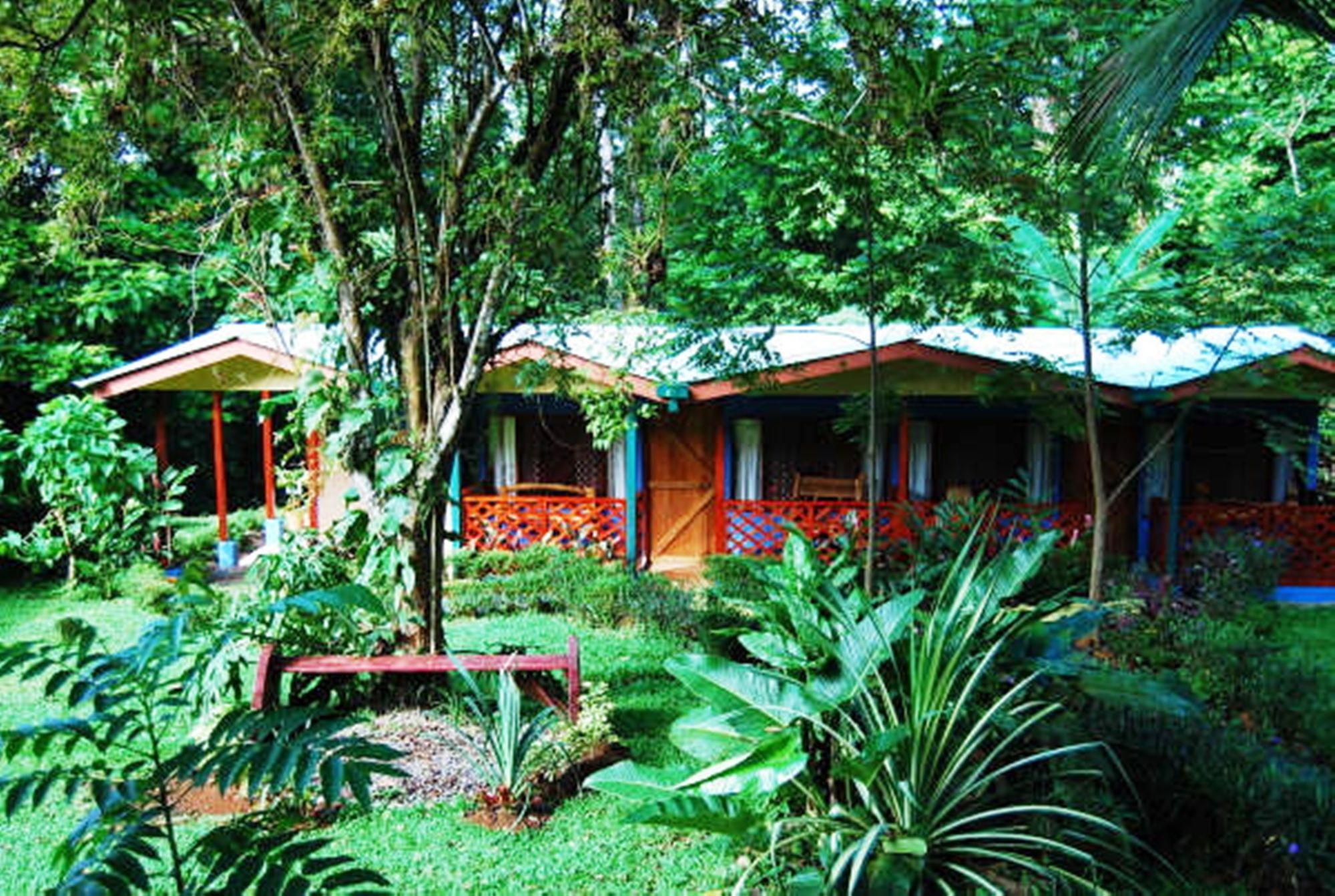 Фото Ara Ambigua Lodge