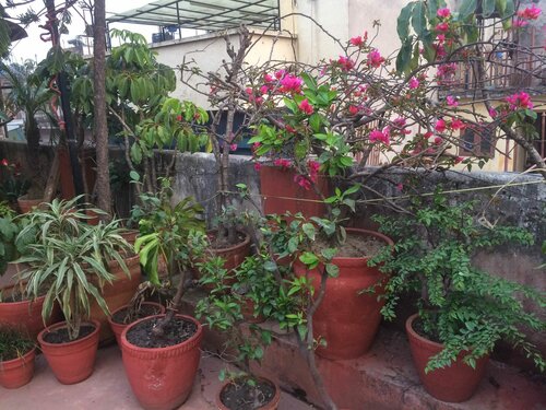 Гостиница Holyland Guest House в Катманду