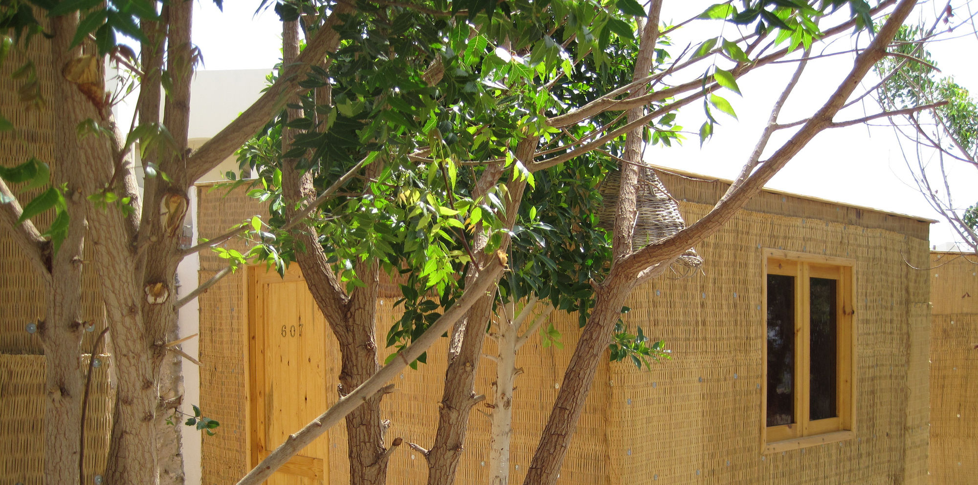 Фото Umbi Sharks Bay Diving Village