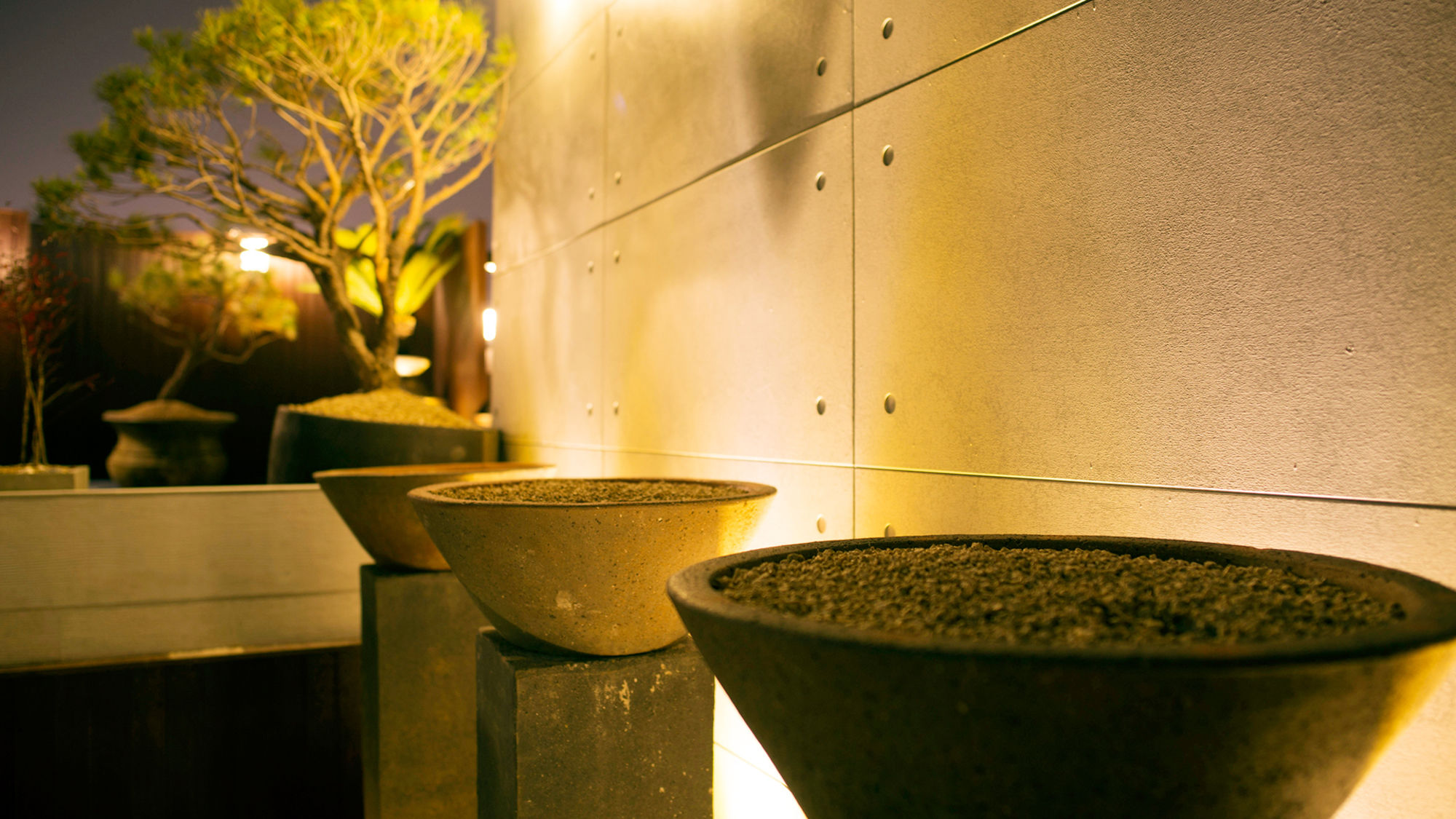 Фото Matthieu Yeosu