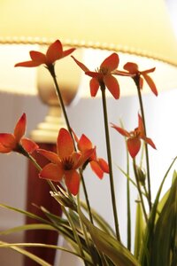 Гостиница Hotel Bertaina