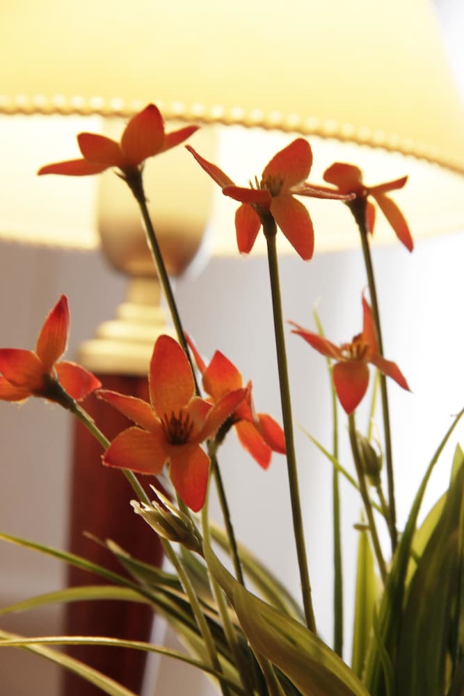 Фото Hotel Bertaina