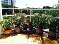 Фото Corner Cafe Bed and Breakfast