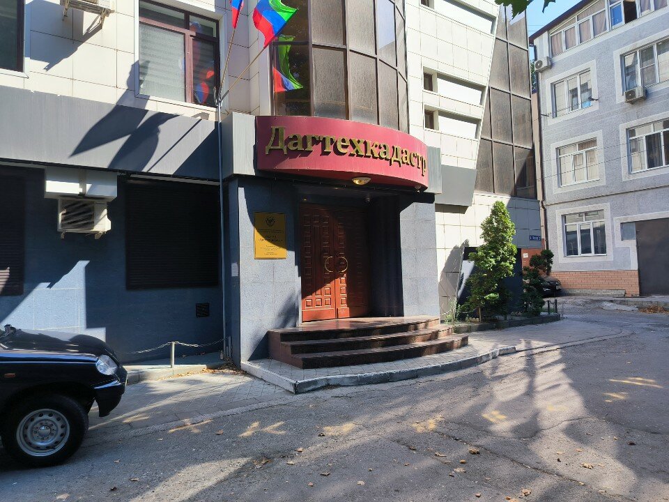 VKontakte dagi eshaklar