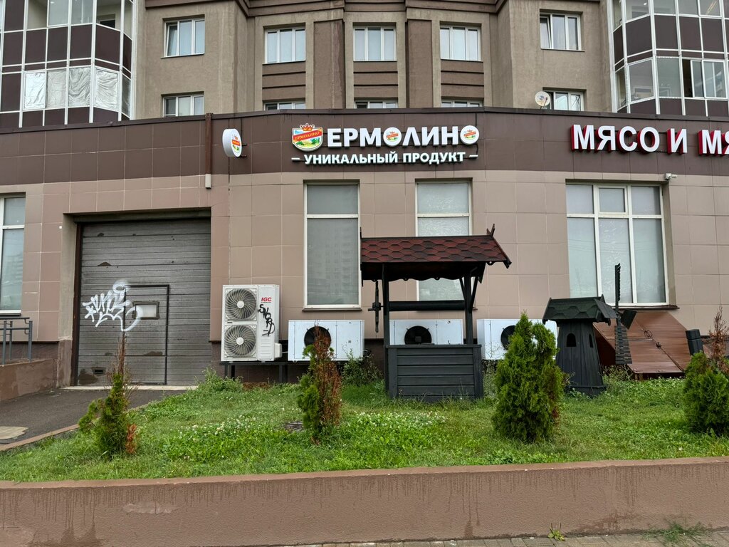 Grocery Ermolino, Domodedovo, photo